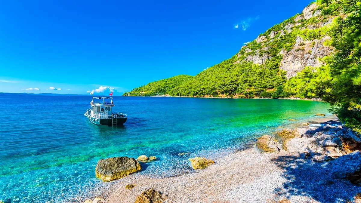 Blue Mind teorisi nedir?