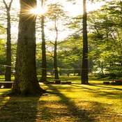 Turkcell Platinum Park rehberi