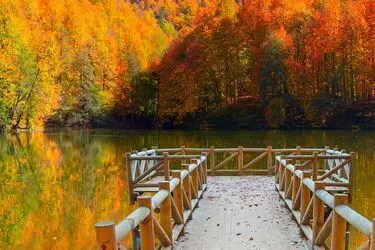 Bolu Bungalov Oteller