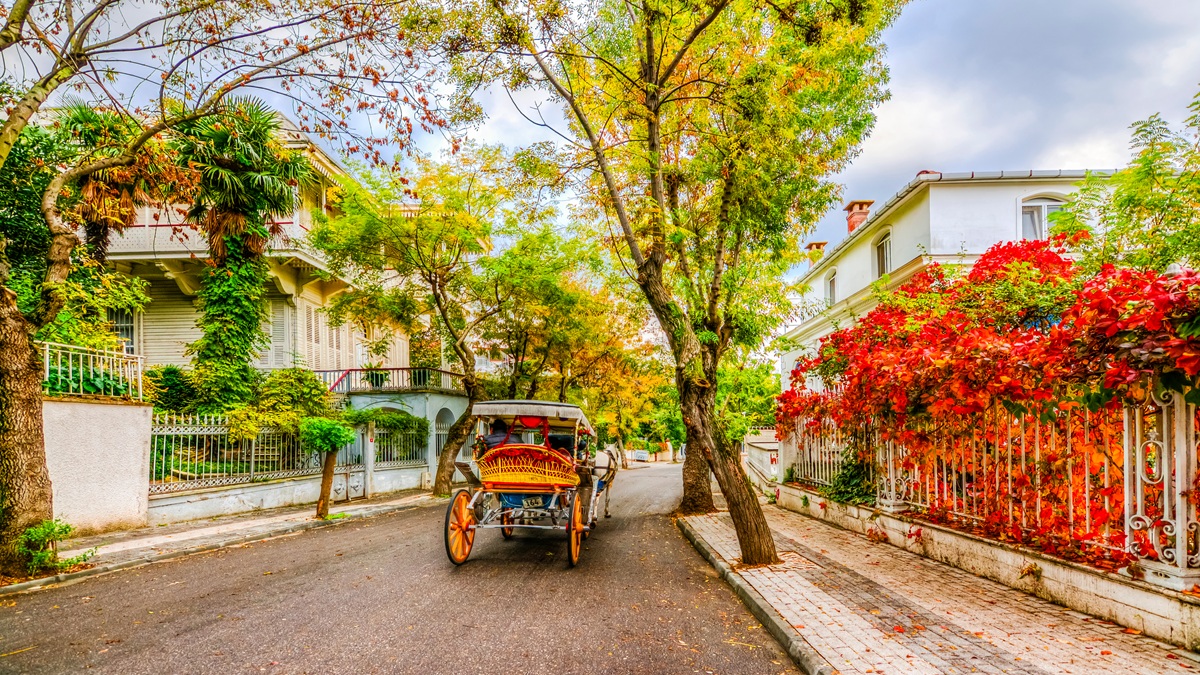 İstanbul’un koşturmacasıyla geçen yorucu günlerin ardından ya da bütün bir haftanın stresini geride bırakmak istediğin bir hafta sonunda rotanı Adalar’a çevire...