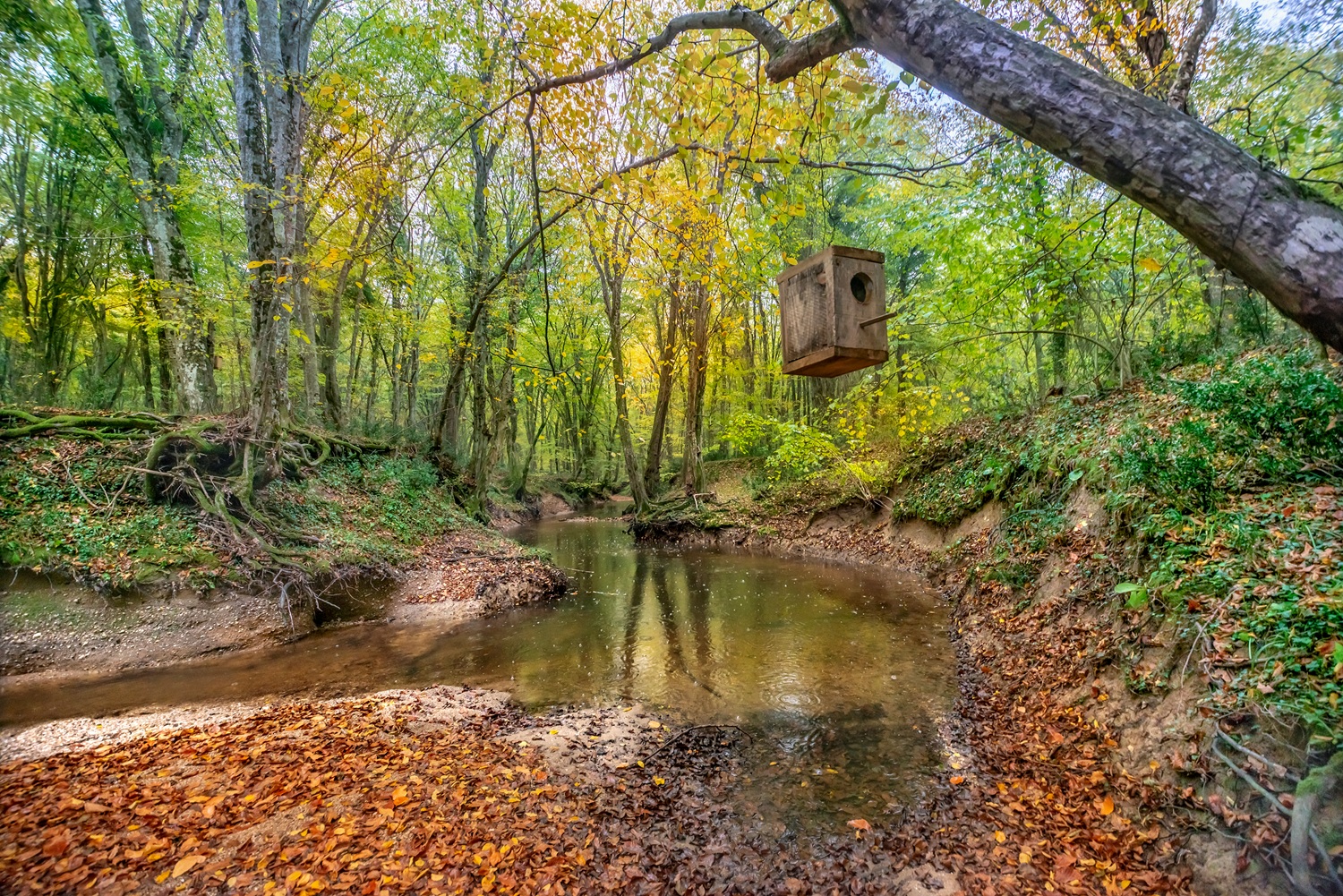Yaz mevsiminin başlamasıyla birlikte tatil planları yapmaya başladıysan ve herkesin nereleri tercih ettiğini merak ediyorsan doğru yerdesin. Özellikle Z kuşağı, seyahat alışkanlıklarında yeni bir...