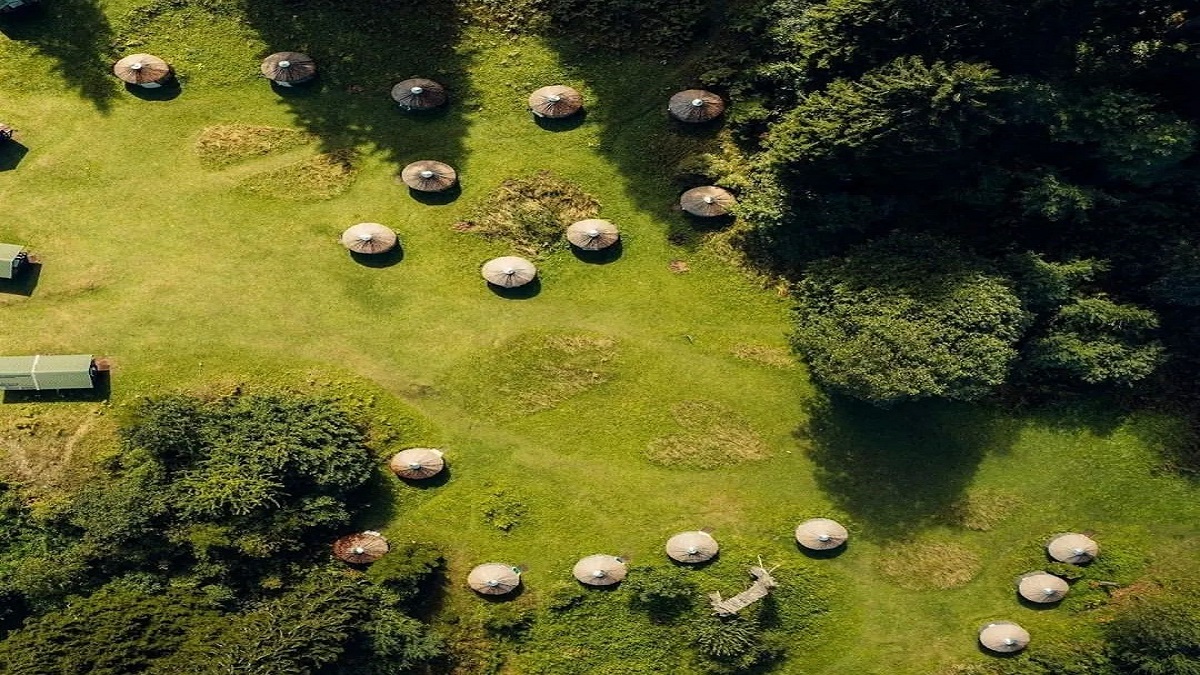 Karadeniz’in en sevilen şehirlerinden olan Trabzon, kendine has mutfağı, hırçın denizi, yemyeşil doğası ve sıcacık insanlarıyla öne çıkıyor. Yayla turizmi konusundaki potansiy...