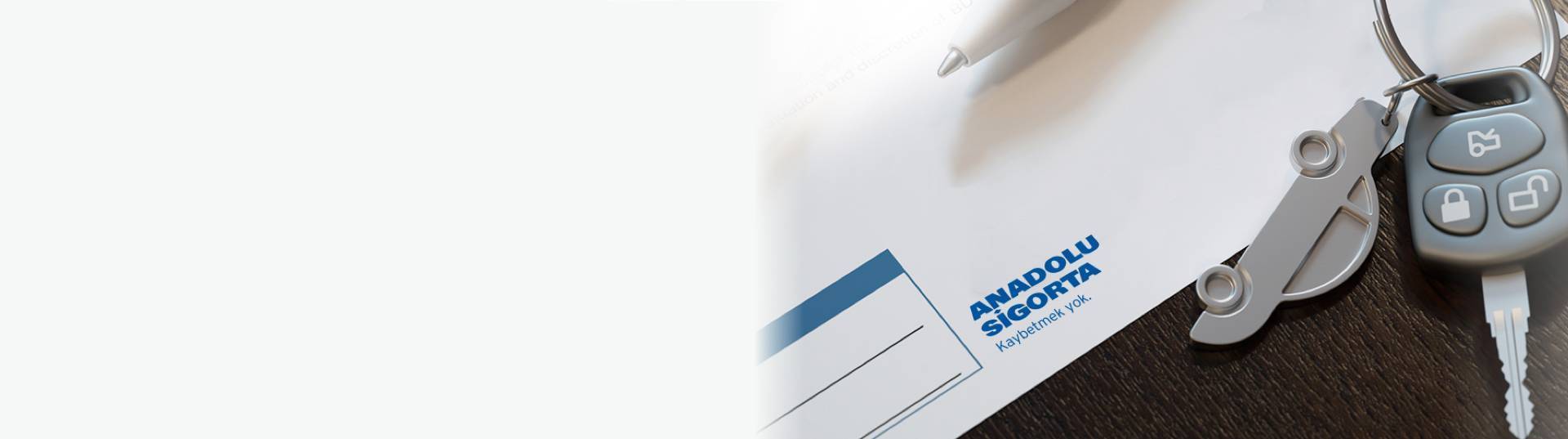 Anadolu Sigorta şirket görseli