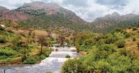 Taif'te gezilecek yerler