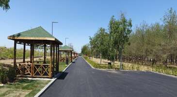 Erzurum, doğanın tüm güzelliklerini cömertçe sergileyen, yeşilin ve mavinin buluştuğu bir şehir. Tarihî ve kültürel zenginliklerinin yanı sıra serin yaylaları, berrak akarsuları ve geniş ormanlarıyla da piknik yapmak isteyenler için ideal bir rota sunuyor.