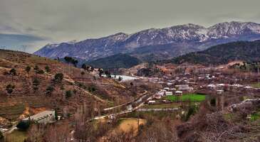 Akdeniz denilince akla turkuaz sular, altın sarısı kumsallar ve sıcak yaz g&uuml;nleri geliyor, ancak b&ouml;lgede yaylacılık ve y&ouml;r&uuml;k k&uuml;lt&uuml;r&uuml; de &ccedil;ok yaygın. Kıyı şeridinin hareketli atmosferinin &ouml;tesinde, huzurlu ve serin bir d&uuml;nyaya kapı a&ccedil;an bir&ccedil;ok g&uuml;zel yayla var.&nbsp; Şehirlerin g&uuml;r&uuml;lt&uuml;s&uuml;nden ve yazın bunaltıcı sıcağından uzaklaşmak isteyenler i&ccedil;in adeta birer vaha g&ouml;revi g&ouml;ren Akdeniz B&ouml;lgesi yaylalarında yemyeşil ormanlar, buz gibi akan dereler ve tertemiz hava eşliğinde ruhunu dinlendirebilirsin. Her biri kendine &ouml;zg&uuml; bir hik&acirc;yeye ve doğal zenginliğe sahip olan Akdeniz B&ouml;lgesi&rsquo;nin en g&uuml;zel yaylalarını şimdi keşfet.&nbsp; 1. Feslikan Yaylası - Antalya Akdeniz'in en sıcak şehirlerinden Antalya'nın yanı başındaki Beydağları eteklerinde uzanan Feslikan Yaylası, &ouml;zellikle yaz aylarında serinlik arayanlar i&ccedil;in eşsiz bir ka&ccedil;ış noktası. Şehir merkezine yakın konumuyla kolayca ulaşılabilen Feslikan, doğal g&uuml;zellikleri ve temiz havasıyla sana adeta bir terapi yaşatacak. &Ccedil;am ormanları ve serin su kaynaklarıyla &ccedil;evrili yaylada piknik veya kamp yaparak dinlenebilirsin.&nbsp; 2.200 metrelik y&uuml;ksek rakımıyla Feslikan Yaylası, tertemiz havasının yanı sıra y&ouml;resel k&uuml;lt&uuml;r&uuml; deneyimlemek i&ccedil;in de ideal. Geleneksel Feslikan Yaylası Şenlikleri, yaylanın renkli ve canlı k&uuml;lt&uuml;r&uuml;n&uuml; g&ouml;zlerinin &ouml;n&uuml;ne seriyor. Y&ouml;resel m&uuml;zikler, halk oyunları ve yerel lezzetlerle dolu bu şenlikler, Akdeniz&rsquo;in yayla k&uuml;lt&uuml;r&uuml;n&uuml; tanımak isteyenler i&ccedil;in de harika bir fırsat.&nbsp; Konum Linki {insightBoxStart}Yazar Notu: Feslikan Yaylası&rsquo;nın iyi d&uuml;zenlenmiş trekking ve doğa y&uuml;r&uuml;y&uuml;ş&uuml; rotaları, t&uuml;m d&uuml;nyadan macera tutkunlarını b&ouml;lgeye &ccedil;ekiyor. Dilersen trekking yapabilir, doğayla i&ccedil; i&ccedil;e y&uuml;r&uuml;y&uuml;şler yapabilirsin.{insightBoxEnd} 2. Ak&ccedil;atekir Yaylası - Pozantı/Adana Adana'nın boğucu yaz sıcaklarından kurtulmak isteyenlerin vazge&ccedil;ilmez adresi Ak&ccedil;atekir Yaylası, Toros Dağları'nın eteklerinde gizleniyor. Yayla, yeşilin her tonunu g&ouml;rebileceğin geniş &ccedil;am ormanları ve ferahlatıcı atmosferiyle adeta bir doğa harikası. Şehrin stresinden uzaklaşarak doğa y&uuml;r&uuml;y&uuml;ş&uuml;, piknik ve kamp yapabileceğin Ak&ccedil;atekir Yaylası&rsquo;nda tertemiz havada eşsiz manzaralarla ruhunu dinlendirebilirsin.&nbsp; Ak&ccedil;atekir Yaylası, Akdeniz yaylacılık k&uuml;lt&uuml;r&uuml;n&uuml;n en g&uuml;zel &ouml;rneklerinden birini sunarak doğa tutkunları ve huzur arayanlara kapılarını a&ccedil;ıyor. Y&ouml;resel yaşam tarzı ve lezzetleriyle de etkileyen yaylada kurulan k&uuml;&ccedil;&uuml;k pazarlarda taze sıkılmış meyve suları, yayık ayranı, y&ouml;resel peynirler ve mis gibi kokan g&ouml;zlemeleri tadabilirsin. Konum Linki 3. Borcak Yaylası - Toroslar/Mersin Borcak Yaylası, Mersin'e yakın konumuyla hem yerli halkın hem de turistlerin pop&uuml;ler gezi alanlarından. Toros Dağları'nın &ccedil;am ağa&ccedil;ları ve yemyeşil doğası i&ccedil;inde saklanan bu cennet, adeta bir oksijen deposu. Y&uuml;ksek rakımı sayesinde her zaman serin ve temiz kalan hava, yaz aylarında serinlemek ve yenilenmek i&ccedil;in ideal.&nbsp; Borcak Yaylası&rsquo;nın patikalarda y&uuml;r&uuml;y&uuml;şlere &ccedil;ıkabilir, ağa&ccedil;ların g&ouml;lgesinde piknik yapabilir ve kuş sesleriyle dolu sakin bir g&uuml;n ge&ccedil;irebilirsin. Yaylanın k&uuml;&ccedil;&uuml;k &ccedil;ay bah&ccedil;elerinde dinlenebilir, y&ouml;re halkının hazırladığı ayran ve sıcacık g&ouml;zlemeleri tadabilirsin. Otantik k&ouml;y kahvaltıları da y&ouml;resel peynirler ve ballar eşliğinde g&uuml;ne harika bir başlangı&ccedil; yapmanı sağlayacak. Konum Linki {insightBoxStart}Yazar Notu: Yayla yolu, genellikle stabilize ve toprak. &Ouml;zellikle yağışlı havalarda ve kış aylarında bu yol, olduk&ccedil;a zorlu bir hale gelebiliyor. Bu aylarda ziyaret etmeyi d&uuml;ş&uuml;n&uuml;yorsan dikkatli olmanı tavsiye ederiz.{insightBoxEnd} 4. Başkonuş Yaylası - Onikişubat/Kahramanmaraş Kahramanmaraş'ın tabiat cennetlerinden Başkonuş Yaylası, g&ouml;z alabildiğine uzanan ormanlık alanları, zengin bitki ve hayvan &ccedil;eşitliliği ile doğa tutkunları i&ccedil;in adeta bir cennet. Temiz havası, kuş sesleri ve doğanın sunduğu huzurla &uuml;nl&uuml; yayla, &ccedil;evre şehirlerden de &ccedil;ok ziyaret ediliyor. Başkonuş Yaylası'nın en &ouml;nemli &ouml;zelliklerinden biri ise zengin yaban hayatına ev sahipliği yapması.&nbsp; Başkonuş Yaylası&rsquo;nda geyik, karaca ve yaban ke&ccedil;isi gibi bir&ccedil;ok hayvan t&uuml;r&uuml;n&uuml; doğal ortamlarında g&ouml;rebilirsin. Y&ouml;reye &ouml;zg&uuml; lezzetleri tadabileceğin kır restoranlar da &ouml;zellikle Kahramanmaraş'ın meşhur dondurması ve y&ouml;resel kebaplarıyla &ccedil;ok seviliyor.&nbsp; Konum Linki {insightBoxStart}Yazar Notu: Vahşi yaşam a&ccedil;ısından zengin olan yaylada &ouml;zellikle geceleri &ccedil;evrede g&ouml;r&uuml;lebilen ayı ve yaban domuzu gibi hayvanlara karşı dikkatli olmalısın.{insightBoxEnd} 5. Tota Yaylası - S&uuml;t&ccedil;&uuml;ler/Isparta Akdeniz'in yemyeşil vahalarından Tota Yaylası, Toros Dağları'nın eteklerinde panoramik manzaralar sunuyor. Yemyeşil &ccedil;ayırları, &ccedil;am ve sedir ormanları, buz gibi akan pınarlarıyla tam bir doğa cenneti olan Tota Yaylası, yılın b&uuml;y&uuml;k bir b&ouml;l&uuml;m&uuml;nde serin havaya sahip. Tota, &ouml;zellikle yaz aylarında kamp, trekking ve doğa fotoğraf&ccedil;ılığı gibi aktiviteler i&ccedil;in &ccedil;ok ziyaret ediliyor.&nbsp; Tota Yaylası, y&uuml;zlerce yıldır s&uuml;ren g&ouml;&ccedil;ebe k&uuml;lt&uuml;r&uuml;n&uuml;n izlerini taşıyan canlı yayla yaşamıyla da &ouml;ne &ccedil;ıkıyor. Halkın geleneksel yaşam tarzı, sana otantik bir deneyim yaşatacak. Yaylacıların &uuml;rettiği taze peynir, tereyağı, yoğurt ve kekik kokulu balları da satın alabilir, yaylaya &ouml;zg&uuml; lezzetler deneyerek b&uuml;t&uuml;n yorgunluğunu atabilirsin. Toto Yaylası&rsquo;nın endemik bitkileri ve yaban hayatı da doğa tutkunları i&ccedil;in eşsiz bir zenginlik. Konum Linki 6. Kırkpınar Yaylası - Altınyayla/Burdur Burdur'un en g&uuml;zel yaylalarından olan Kırkpınar Yaylası, G&ouml;ller Y&ouml;resi'nin berrak sularından adını alıyor. Yaylada bulunan sayısız pınar, serin ve tatlı sularıyla doğayı beslerken, &ccedil;am ormanlarının kokusuyla harmanlanan yayla havası ise şehir yaşamının yorgunluğunu atıp yenilenmeye yardımcı oluyor. Yaylada uzun doğa y&uuml;r&uuml;y&uuml;şleri, bisiklet turları ve kamp yaparak eşsiz tabiat g&uuml;zelliklerinin tadını &ccedil;ıkarabilirsin. Kırkpınar Yaylası&rsquo;nın sakin atmosferi, kuş sesleri ve r&uuml;zg&acirc;rın fısıltısıyla birleşerek, ruhunu dinlendiren bir terapi atmosferi yaratıyor. Doğal ve taze &uuml;r&uuml;nlerle kurulan yayla pazarları ise y&ouml;renin lezzetli peynirleri, balları ve diğer organik &uuml;r&uuml;nleri ile dolu. Konum Linki 7. Gedevet Yaylası - Alanya/Antalya Alanya'nın sıcak ve hareketli atmosferinden uzaklaşmak isteyenler i&ccedil;in Gedevet Yaylası, adeta bir vaha. Toros Dağları'nın serin yama&ccedil;larında gizlenen yayla, &ccedil;am ile sedir ağa&ccedil;larıyla kaplı yemyeşil doğası, temiz ve ferah havası ile dinlendirici bir ortama sahip. Gedevet, &ouml;zellikle hafta sonları piknik yapmak, doğa y&uuml;r&uuml;y&uuml;şlerine &ccedil;ıkmak ve kamp kurmak isteyenler i&ccedil;in pop&uuml;ler bir yer. Gedevet Yaylası, yerel k&uuml;lt&uuml;r&uuml; ve lezzetleri de keşfetme fırsatı veriyor. Yaylada hizmet veren kır restoranlarında y&ouml;resel yemeklerin tadına bakabilirsin. &Ouml;zellikle odun ateşinde demlenmiş &ccedil;ay ve g&ouml;zleme eşliğinde yayla atmosferinin tadını &ccedil;ıkarabilirsin. Gedevet Yaylası, her yaz d&uuml;zenlenen şenlikleriyle de b&ouml;lgenin geleneksel k&uuml;lt&uuml;r&uuml;n&uuml; ve neşesini yansıtan renkli etkinliklere ev sahipliği yapıyor. Konum Linki {insightBoxStart}Yazar Notu: Yayla k&uuml;lt&uuml;r&uuml;n&uuml; daha iyi yaşamak i&ccedil;in geleneksel yayla evlerinde birka&ccedil; gece konaklayabilirsin.{insightBoxEnd} 8. Meydan Yaylası - Aladağ/Adana &Ccedil;ukurova'nın &uuml;zerinde y&uuml;kselen Bolkar Dağları'nın eteklerindeki Meydan Yaylası, Adana sıcaklarından ka&ccedil;anların ilk uğrak yerlerinden. &Ccedil;am ağa&ccedil;larının serin g&ouml;lgesinde y&uuml;ksek rakımın getirdiği temiz ve berrak havayla buluşan yayla, eşsiz manzarasıyla da dikkat &ccedil;ekiyor. Yayla, yemyeşil ormanları ve buz gibi kaynak sularıyla sadece serin bir ka&ccedil;ış noktası değil, aynı zamanda ruhu dinlendiren bir doğal terapi alanı. Meydan Yaylası'nın b&uuml;y&uuml;leyici atmosferi, y&ouml;resel yaşam tarzı ve sıcakkanlı insanlarla daha da zenginleşiyor. Yaylada kurulan k&uuml;&ccedil;&uuml;k pazarlar ve geleneksel yayla evlerinin oluşturduğu otantik doku, yaylayı gezerken sana unutulmaz bir k&uuml;lt&uuml;rel deneyim yaşatacak.&nbsp; Konum Linki 9. Fındıkpınarı Yaylası - Mezitli/Mersin Toros Dağları'nın eteklerindeki Fındıkpınarı Yaylası, zengin bitki &ouml;rt&uuml;s&uuml; ve oksijeni y&uuml;ksek havasıyla dikkat &ccedil;ekiyor. Yaz aylarında hem Mersin halkının hem de şehir dışından gelen turistlerin &ccedil;ok ziyaret ettiği yaylada &ccedil;am ve sedir ağa&ccedil;larının g&ouml;lgesinde piknik yapabilir, &ccedil;evredeki patikalarda keyifli doğa y&uuml;r&uuml;y&uuml;şlerine &ccedil;ıkabilirsin.&nbsp; Fındıkpınarı Yaylası, canlı sosyal yaşamıyla da ilgi g&ouml;r&uuml;yor. Pazarlarında taze yayla &uuml;r&uuml;nleri, el yapımı peynirler, ballar, organik sebzeler ve meyveler bulabileceğin yaylanın y&ouml;resel restoranlarında ise odun ateşinde pişen lezzetli et yemeklerinin ve g&ouml;zlemelerin tadına bakabilirsin. Geleneksel yayla evlerinin oluşturduğu otantik doku da Fındıkpınarı Yaylası&rsquo;nı &ouml;zel kılıyor.&nbsp; Konum Linki 10. Soğucak Yaylası - Arsuz/Hatay Hatay'ın sıcak ve nemli havasından farklı bir ortama sahip Soğucak Yaylası, Amanos Dağları'nın serin eteklerinde gizleniyor. Yemyeşil &ccedil;am ve sedir ormanlarıyla &ccedil;evrili yayla, tertemiz havası ve kaynak suları i&ccedil;in &ccedil;ok ziyaret ediliyor. Yaz aylarında serin havası ile &ccedil;evre şehirlerden gelen misafirleri de ağırlayan yaylanın doğa y&uuml;r&uuml;y&uuml;şleri, piknik ve kamp gibi aktiviteler yaparak g&uuml;zel zaman ge&ccedil;irebilirsin.&nbsp; Soğucak Yaylası&rsquo;nın sunduğu geniş manzaralar ise dağların g&ouml;rkemli manzaralarıyla adeta bir tabloyu andırıyor. Geleneksel yayla evlerini de gezebileceğin Soğucak Yaylası, Akdeniz B&ouml;lgesi'nin keşfedilmeye değer yaylalarından biri. Konum Linki {{campaignsSlider}} 11. Yavşan Yaylası - Onikişubat/Kahramanmaraş Yeşilin her tonunu g&ouml;rebileceğin geniş &ccedil;ayırları ve meşe ormanlarıyla &uuml;nl&uuml; Yavşan Yaylası, Akdeniz B&ouml;lgesi'nin keşfedilmeye değer saklı cennetlerinden. Temiz dağ havası ve kaynak sularının ferahlatıcı etkisi, yaz aylarında bunaltıcı sıcaklardan ka&ccedil;mak isteyenleri yaylaya &ccedil;ekiyor. Yaylanın sahip olduğu doğal g&uuml;zellikler ise burayı doğa y&uuml;r&uuml;y&uuml;ş&uuml;, fotoğraf&ccedil;ılık ve kamp&ccedil;ılık gibi aktiviteler i&ccedil;in eşsiz bir yer haline getiriyor. Yavşan Yaylası&rsquo;nda y&ouml;redeki k&ouml;ylerden gelen insanlarla tanışabilir, onların geleneksel yaşam tarzlarına tanıklık edebilirsin. B&ouml;lgede yetiştirilen doğal &uuml;r&uuml;nleri de alabileceğin yayla, Kahramanmaraş&rsquo;ın en huzurlu k&ouml;şelerinden biri olarak &ouml;ne &ccedil;ıkıyor. Konum Linki 12. B&ouml;ğr&uuml;delik Yaylası - G&ouml;lhisar/Burdur Kendine &ouml;zg&uuml; doğal yapısıyla &ouml;ne &ccedil;ıkan B&ouml;ğr&uuml;delik Yaylası, bunaltıcı sıcaklarından ka&ccedil;mak isteyenler i&ccedil;in serin bir cennet k&ouml;şesi. Adını etrafındaki ormanlık alanda bulunan ve y&ouml;re halkının "b&ouml;ğr&uuml;delik&rdquo; dediği doğal bir oluşumdan alan yayla, yemyeşil &ccedil;ayırları ve tertemiz havasıyla da &uuml;nl&uuml;.&nbsp; Toros Dağları'nın eteklerinde gizlenen B&ouml;ğr&uuml;delik Yaylası&rsquo;nda &ccedil;am ile sedir ağa&ccedil;ları arasında doğa y&uuml;r&uuml;y&uuml;ş&uuml;, piknik ve kamp yaparak dinlenebilirsin. Yaz aylarında yaylacılık geleneğini s&uuml;rd&uuml;ren y&ouml;re halkı, ziyaret&ccedil;ilerle sıcak ilişkiler kuruyor ve &uuml;rettikleri doğal &uuml;r&uuml;nleri satıyor. B&ouml;ğr&uuml;delik Yaylası, hem bedenini hem de ruhunu dinlendirebileceğin &ouml;zel yerlerden. Konum Linki 13. Beydağları Yaylası - Korkuteli/Antalya Adını aldığı g&ouml;rkemli Beydağları'nın eteklerinde &ccedil;am, ardı&ccedil; ve sedir ağa&ccedil;larıyla s&uuml;sl&uuml; Beydağları Yaylası, huzur dolu bir ka&ccedil;ış noktası. Bol oksijenli tertemiz havası ve kuş sesleriyle dolu yayla atmosferi, &ouml;zellikle yaz aylarında m&uuml;kemmel bir sığınak sağlıyor. Yemyeşil doğa i&ccedil;inde yapılan y&uuml;r&uuml;y&uuml;şler ve bisiklet turları, yaylanın eşsiz panoramik manzaralarını keşfetmek i&ccedil;in ideal.&nbsp; Beydağları Yaylası'nı &ouml;zel kılan bir diğer &ouml;zellik ise korunan y&ouml;resel k&uuml;lt&uuml;r&uuml; ve samimi atmosfer. Yayla evlerinin ve k&uuml;&ccedil;&uuml;k &ccedil;ardakların arasında dolaşırken, taze k&ouml;y &uuml;r&uuml;nleri satan tezg&acirc;hlara rastlayabilir, sabahları geleneksel yayla kahvaltısında el yapımı peynirler, ballar ve taze demlenmiş &ccedil;ay eşliğinde unutulmaz bir lezzet ş&ouml;leni yaşayabilirsin. Konum Linki 14. &Ccedil;&ouml;kek Yaylası - D&ouml;rtyol/Hatay Kilimli Vadisi'nin &uuml;st kısmında yer alan &Ccedil;&ouml;kek Yaylası, yemyeşil doğası ve serin havasıyla yaz aylarında y&ouml;re halkın en sık uğradığı yerlerden. Dağ eteklerini s&uuml;sleyen &ccedil;am ormanları, zengin bitki &ouml;rt&uuml;s&uuml; ve derelerin &ccedil;arpıcı manzaraları, &Ccedil;&ouml;kek Yaylası&rsquo;nı adeta bir doğa harikasına d&ouml;n&uuml;şt&uuml;r&uuml;yor. Doğa y&uuml;r&uuml;y&uuml;şleri, kuş g&ouml;zlemciliği ve dağ bisikleti turlarıyla yaylanın temiz havasında unutulmaz bir deneyim yaşayabilirsin. &Ccedil;&ouml;kek Yaylası, k&uuml;lt&uuml;rel zenginliklerle de dikkat &ccedil;ekiyor. Y&ouml;re halkının geleneksel yayla k&uuml;lt&uuml;r&uuml;, yayla evlerinin mimarisi ve yaşam tarzı, b&ouml;lgenin k&uuml;lt&uuml;rel dokusunu yansıtıyor. Yayla esnafından taze s&uuml;t, peynir, tereyağı ve bal gibi organik &uuml;r&uuml;nler satın alabilir, y&ouml;resel lezzetleri ise k&uuml;&ccedil;&uuml;k restoranlarda tadabilirsin. Konum Linki 15. Kızıldağ Yaylası - Karaisalı/Adana Toros Dağları'nın eteklerindeki başka bir doğa cenneti olan Kızıldağ Yaylası, &ccedil;am ve sedir ormanlarının serin havasıyla &uuml;nl&uuml;. Kışın karla kaplı beyaz &ouml;rt&uuml;s&uuml;yle b&uuml;y&uuml;leyici manzaralar sunan yayla, yaz aylarında ise yemyeşil &ccedil;ayırları ve tertemiz kaynak suları i&ccedil;in ziyaret ediliyor. Doğa y&uuml;r&uuml;y&uuml;ş&uuml;, kamp&ccedil;ılık ve fotoğraf&ccedil;ılık gibi aktiviteler yapabileceğin yaylada zirveye yaklaştık&ccedil;a b&uuml;y&uuml;leyici panoramik manzaralarla karşılaşacaksın. Y&uuml;zlerce yıldır y&ouml;r&uuml;k k&uuml;lt&uuml;r&uuml;n&uuml;n &ouml;nemli bir merkezi olan Kızıldağ Yaylası, yaz şenlikleri ve festivalleri ile renkleniyor. Y&ouml;resel Adana lezzetlerinin, geleneksel el sanatlarının ve &ccedil;eşitli eğlencelerin tadını &ccedil;ıkarabileceğin yayla festivallerinde ahşap yayla evlerini de gezebilirsin. Konum Linki 16. Anamur Yaylası - Anamur/Mersin Torosların kucağında gizlenen Anamur Yaylası, yaz aylarında serin bir nefes almak isteyenlerin ilk uğraması gereken yerler arasında. Ilıman iklimiyle &uuml;nl&uuml; yaylada &ccedil;am, sedir ve k&ouml;knar ağa&ccedil;ları arasında huzur bularak yılın b&uuml;t&uuml;n stresini atabilirsin. Huzurlu yayla yerleşimleri de adeta doğal bir terapi merkezini andırıyor.&nbsp; Anamur Yaylası&rsquo;nda g&uuml;r&uuml;l g&uuml;r&uuml;l akan kaynak sularını tadabilir ve kuş sesi eşliğinde tertemiz havada yenilenebilirsin. Doğa y&uuml;r&uuml;y&uuml;şleri, trekking ve kamp&ccedil;ılık gibi etkinlikler i&ccedil;in g&uuml;zel olanaklar bulabileceğin yayla, aynı zamanda flora ve fauna a&ccedil;ısından zengin bir ekosisteme ev sahipliği yapıyor. Konum Linki 17. Pekmezci Yaylası - D&ouml;rtyol/Hatay Toros Dağları eteklerinde keşfedebileceğin başka bir doğal g&uuml;zellik de Pekmezci Yaylası. Yayla, adını y&ouml;renin meşhur &uuml;z&uuml;m pekmezlerinden alıyor. &Ccedil;am ormanları, buz gibi akan dereleri ve tertemiz havasıyla &ccedil;ok sevilen yayla, 1.100 metreyi aşan y&uuml;ksek rakımı sayesinde bol oksijenli bir havaya sahip. &Ouml;zellikle doğa y&uuml;r&uuml;y&uuml;şleri, kamp&ccedil;ılık ve piknik gibi aktiviteler i&ccedil;in ziyaret edilen Pekmezci Yaylası&rsquo;nın sunduğu panoramik manzaralar ise D&ouml;rtyol Ovası&rsquo;nın ve Akdeniz'in sonsuz maviliğine kadar uzanıyor. Yaylada y&ouml;re halkının kendi elleriyle hazırladığı doğal &uuml;r&uuml;nleri, &ouml;zellikle de yaylanın adını aldığı meşhur pekmezi ve taze yayla peynirlerini satın alabilirsin. Konum Linki 18. Armut Oluğu Yaylası - Pozantı/Adana Adana&rsquo;nın yemyeşil g&uuml;zelliklerinden Armut Oluğu Yaylası, Toros Dağları'nın eteklerinde serin ve ferahlatıcı bir cennet. Adana'nın sıcak havasından uzaklaşabileceğin yayla, yemyeşil &ccedil;am ormanları ve temiz havasıyla bir nefes alma fırsatı tanıyor. Yaylanın sunduğu eşsiz manzara ise &ccedil;evresindeki dağların ve vadilerin g&ouml;rkemiyle kartpostalları andırıyor.&nbsp; İlkbahar ve yaz aylarında rengarenk kır &ccedil;i&ccedil;ekleriyle s&uuml;slenen Armut Oluğu Yaylası, doğa y&uuml;r&uuml;y&uuml;şleri ve fotoğraf&ccedil;ılık i&ccedil;in de &ccedil;ok pop&uuml;ler bir rota. Yayla, y&ouml;resel k&uuml;lt&uuml;r&uuml;n canlı izlerini taşıyan samimi atmosferiyle de &ouml;ne &ccedil;ıkıyor. Geleneksel yaşam tarzı ve el emeği &uuml;r&uuml;nlerinin yanı sıra yaylada &uuml;retilen taze organik sebzeler, meyveler ve y&ouml;resel lezzetler de &ccedil;ok ilgi g&ouml;r&uuml;yor.&nbsp; Konum Linki {insightBoxStart}İpucu: En iyi otel fiyatlarını tek bir yerde g&ouml;rmek, se&ccedil;eceğin otel hakkında bilgi almak ve saniyeler i&ccedil;inde rezervasyon yapmak i&ccedil;in ENUYGUN'da otel araştırmasına başlayabilirsin.{insightBoxEnd} {hotel_search_form_banner} 19. G&ouml;kbel Yaylası - Alanya/Antalya Akdeniz&rsquo;in en g&uuml;zel yaylalarından olan G&ouml;kbel Yaylası, doğa ve festival tutkunlarının uğrak noktası. Toros Dağları'nın yemyeşil eteklerinde, deniz seviyesinden yaklaşık 1.250 metre y&uuml;kseklikte konumlanan G&ouml;kbel, Alanya'nın nemli ve sıcak havasından uzaklaşmak isteyenler i&ccedil;in g&uuml;zel bir rota. &Ccedil;am ormanları, berrak dereler ve geniş otlaklarla s&uuml;sl&uuml; G&ouml;kbel Yaylası&rsquo;nda doğa y&uuml;r&uuml;y&uuml;ş&uuml;yle ruhunu dinlendirebilirsin. G&ouml;kbel Yaylası'nı diğer yaylalardan ayıran en &ouml;nemli &ouml;zellik ise her yıl temmuz ve ağustos ayı arasında d&uuml;zenlenen G&ouml;kbel Yağlı Pehlivan G&uuml;reşleri. T&uuml;rkiye'nin d&ouml;rt bir yanından pehlivanların katılımıyla ger&ccedil;ekleşen bu şenlikler, yaylanın sakin atmosferine hareket ve coşku katıyor. Bu festival, yayla k&uuml;lt&uuml;r&uuml;n&uuml;n canlılığını g&ouml;rmek ve bu eşsiz geleneğe tanıklık etmek i&ccedil;in m&uuml;kemmel bir fırsat. Konum Linki 20. Zorkun Yaylası - Dereobası/Osmaniye Osmaniye'nin en b&uuml;y&uuml;k ve sevilen yaylalarından Zorkun Yaylası, Akdeniz'in bunaltıcı neminden kurtulabileceğin &ouml;zel bir yer. Yemyeşil ardı&ccedil; ormanları, serin pınarları ve mis gibi dağ havasıyla &uuml;nl&uuml; yayla, sadece doğa tutkunlarını değil, k&uuml;lt&uuml;rel zenginlikleri keşfetmek isteyenleri de cezbediyor.&nbsp; Zorkun Yaylası, doğal g&uuml;zelliklerinin yanında k&ouml;kl&uuml; ge&ccedil;mişiyle de &ouml;ne &ccedil;ıkıyor. Y&ouml;re halkının asırlardır devam eden yayla k&uuml;lt&uuml;r&uuml;, buraya ayrı bir kimlik kazandırıyor. Yaylada kurulan pazarlarda y&ouml;resel &uuml;r&uuml;nler, el sanatı &uuml;r&uuml;nleri ve organik gıdalar alabilirsin. Yaz aylarında d&uuml;zenlenen şenlikler ise yayla yaşamının canlılığını ve eğlencesini g&ouml;zler &ouml;n&uuml;ne seriyor. Zorkun Yaylası, &ccedil;evresindeki konaklama olanakları, restoranları ve sosyal alanlarıyla yaz aylarında adeta k&uuml;&ccedil;&uuml;k bir yayla kasabasına d&ouml;n&uuml;ş&uuml;yor. Konum Linki 21. &Ouml;rdibek Yaylası - Finike/Antalya Finike'nin sıcak sahillerinden serin bir ka&ccedil;ış noktası sunan &Ouml;rdibek Yaylası, yemyeşil bir doğa cenneti. Toros Dağları'nın yama&ccedil;larında gizlenen yayla, huzurlu ve sakin bir atmosfer sunuyor. Serin havasıyla yaz aylarının bunaltıcı sıcağını unutturan &Ouml;rdibek, yemyeşil doğasıyla da misafirlerini yeniliyor. Sedir ve &ccedil;am ağa&ccedil;larının kokusuyla s&uuml;sl&uuml; yaylada doğa y&uuml;r&uuml;y&uuml;şleri, fotoğraf&ccedil;ılık veya kamp&ccedil;ılık gibi aktiviteler yapabilirsin. &Ouml;rdibek Yaylası, geleneksel ve otantik yayla k&uuml;lt&uuml;r&uuml;yle de dikkat &ccedil;ekiyor. Geleneksel yayla evlerinin dağınık bir şekilde sıralandığı yaylada y&ouml;re halkından taze s&uuml;t, peynir ve bal gibi doğal &uuml;r&uuml;nler alabilirsin. Buz gibi pınar sularının serinliğinde de b&uuml;t&uuml;n yorgunluğunu atabilirsin. Konum Linki 22. Akpınar Yaylası - G&uuml;lnar/Mersin Toros Dağları'nın eteklerinde gizlenen Akpınar Yaylası, adını buz gibi akan berrak pınarlarından alıyor.&nbsp; Yemyeşil doğası ve temiz havasına hayran kalacağın yayla, yaz aylarında kamp ve doğa y&uuml;r&uuml;y&uuml;şleri yapmak i&ccedil;in ideal. Yaylanın eşsiz manzarası da &ccedil;evresindeki ormanlık alanlar ve doğal su kaynaklarıyla fotoğraf meraklıları i&ccedil;in de harika kareler yakalama şansı veriyor. Yayla k&uuml;lt&uuml;r&uuml;, burada h&acirc;l&acirc; canlı bir şekilde yaşandığı i&ccedil;in otantik bir deneyim yaşayabilirsin. Taze s&uuml;t &uuml;r&uuml;nleri, organik sebzeler ve y&ouml;resel lezzetlerin sofraları s&uuml;slediği Akpınar Yaylası&rsquo;nın doğal kaynak sularının ferahlatıcı etkisi de sıcak yaz g&uuml;nlerinde v&uuml;cudu dinlendirecek. Konum Linki 23. Alan Yaylası - İskenderun/Hatay Akdeniz'in mavilikleri &uuml;zerinde y&uuml;kselen Torosların eteklerinde saklanan Alan Yaylası, huzur arayanların ve doğa tutkunlarının vazge&ccedil;ilmez duraklarından biri. &Ouml;zellikle yaz aylarında sahilin nemli ve sıcak havasından farklı ferah bir hava sunan yayla, zengin bitki &ouml;rt&uuml;s&uuml; ve yemyeşil &ccedil;am ormanlarıyla kaplı.&nbsp; Hem piknik hem de uzun doğa y&uuml;r&uuml;y&uuml;şleri i&ccedil;in &ccedil;ok ziyaret edilen Alan Yaylası, her k&ouml;şesinde fotoğraf meraklıları i&ccedil;in eşsiz panoramik manzaralar sunuyor. Yaz aylarında Alan Yaylası'nın serin sularından i&ccedil;erek serinleyebilir veya yerel lezzetlerin tadına bakarak g&uuml;zel bir gastronomi deneyimi yaşayabilirsin. Konum Linki 24. &Ccedil;ardak Yaylası - Hassa/Hatay Hatay&rsquo;ın yaz sıcağından uzaklaşabileceğin m&uuml;kemmel bir ka&ccedil;ış noktası olan &Ccedil;ardak Yaylası, Toros Dağları'nın eteklerinde, el değmemiş doğasıyla seni etkileyecek. Yemyeşil &ccedil;am ormanlarıyla &ccedil;evrili yayla, aileler i&ccedil;in piknik alanları, doğa y&uuml;r&uuml;y&uuml;ş&uuml; ve keşif tutkunları i&ccedil;in ise pek &ccedil;ok parkur sunuyor.&nbsp; &Ccedil;ardak Yaylası'nı &ouml;zel kılan bir diğer &ouml;zellik de otantik yayla yaşamının g&uuml;n&uuml;m&uuml;zde de devam etmesi. Yaylada y&ouml;reye &ouml;zg&uuml; organik &uuml;r&uuml;nleri, taze peynirleri ve ferahlatıcı yayık ayranını tadabilirsin. Doğanın huzuru ve y&ouml;re halkının samimiyetini bir arada deneyimleyebileceğin &Ccedil;ardak Yaylası,Hatay&rsquo;ın keşfedilmeye değer k&ouml;şelerinden. Konum Linki 25. Kuzukulağı Yaylası - Aksu/Isparta Yemyeşil vadileri, buz gibi akan pınarları ve kendine &ouml;zg&uuml; yaban hayatıyla dikkat &ccedil;eken Kuzukulağı Yaylası, doğa sporları ile de dikkat &ccedil;ekiyor. Torosların serin havası ve kaynak suları eşliğinde keşfedebileceğin yayla, rehberli doğa y&uuml;r&uuml;y&uuml;şleri ve kaya tırmanma gibi aktiviteler i&ccedil;in de &ccedil;ok ziyaret ediliyor.&nbsp; &Ccedil;am ve sedir ormanlarının eşlik ettiği yayla yolu, seni huzurlu bir d&uuml;nyaya g&ouml;t&uuml;recek. Y&uuml;ksek rakımı sayesinde her mevsim serin kalan Kuzukulağı Yaylası, &ouml;zellikle yaz aylarında hem kamp&ccedil;ıların hem de g&uuml;n&uuml;birlik ziyaret&ccedil;ileri kendine &ccedil;ekiyor. Akşamları g&ouml;ky&uuml;z&uuml;n&uuml; kaplayan milyonlarca yıldızın altında uyuyabileceğin Kuzukulağı Yaylası&rsquo;na Antalya, Alanya ve Isparta&rsquo;dan kolayca ulaşabilirsin. Konum Linki {insightBoxStart}Yazar Notu: Yaylada yaz aylarında bile akşamları ve geceleri hava olduk&ccedil;a serin olabiliyor. Yanında mutlaka kalın bir mont ve yağmurluk bulundurmalısın.{insightBoxEnd} 26. &Uuml;&ccedil;oluk Yaylası - Belen/Hatay Hatay'ın sıcak havasından uzaklaşıp serin bir nefes almak isteyenlerin ilk uğraması gereken yerlerden biri de &Uuml;&ccedil;oluk Yaylası. Yaylanın &ccedil;am ve &ccedil;ınar ağa&ccedil;larının g&ouml;lgesinde Torosların muhteşem manzaralarının tadını &ccedil;ıkarabilirsin. Adını buz gibi sularının aktığı &uuml;&ccedil; ayrı oluktan alan &Uuml;&ccedil;oluk Yaylası, bu serin sularıyla da seni ferahlatacak.&nbsp; Doğal g&uuml;zellikleriyle de &ccedil;ok sevilen &Uuml;&ccedil;oluk Yaylası&rsquo;nda piknik yapabilir, doğa y&uuml;r&uuml;y&uuml;şlerine &ccedil;ıkabilir ve sadece ağa&ccedil;ların fısıltısını dinleyerek ruhu dinlendirebilirsin. Yayla evlerinin ve k&uuml;&ccedil;&uuml;k &ccedil;ardakların bulunduğu bu g&uuml;zel yayla, y&ouml;re halkının samimi misafirperverliğini deneyimleme fırsatı da veriyor. &Uuml;&ccedil;oluk Yaylası&rsquo;nın &ouml;zellikle hafta sonları kurulan k&uuml;&ccedil;&uuml;k pazarlarında taze organik &uuml;r&uuml;nler, el yapımı y&ouml;resel lezzetler ve mis kokulu otlar bulabilirsin.&nbsp; Konum Linki 27. Olukbaşı Yaylası - Merkez/Osmaniye Amanos Dağları'nın doğal g&uuml;zellikleri arasında keşfedebileceğin Olukbaşı Yaylası, yemyeşil &ccedil;am ormanları ve bol oksijenli ferahlatıcı havasıyla &uuml;nl&uuml;. Ruhunu dinlendirebileceğin bu doğal sığınak, &ouml;zellikle yaz aylarında hem yerel halkın hem de &ccedil;evre şehirlerden gelen ziyaret&ccedil;ilerin akınına uğruyor. Olukbaşı Yaylası, b&uuml;y&uuml;leyici manzaralarla doğa y&uuml;r&uuml;y&uuml;şleri, piknik ve kamp gibi aktiviteler i&ccedil;in de harika bir ka&ccedil;ış noktası. Olukbaşı Yaylası'nın &ccedil;ekiciliği yalnızca doğal g&uuml;zellikleri ile sınırlı değil. Burası aynı zamanda geleneksel yayla k&uuml;lt&uuml;r&uuml;n&uuml;n t&uuml;m samimiyetine sahip. Yaylada kurulan pazarlarda taze s&uuml;t, peynir ve bal gibi organik &uuml;r&uuml;nler alabilirsin. Odun ateşinde pişen sıcacık g&ouml;zlemeler ve buz gibi yayık ayranı da mutlaka denemen gereken lezzetlerden. Konum Linki 28. Topaktaş Yaylası - D&ouml;rtyol/Hatay Amanos Dağları'nın yemyeşil eteklerinde gizlenmiş bir cennet k&ouml;şesi Topaktaş Yaylası, adını &ccedil;evresindeki doğal kayalık oluşumlardan alıyor. Akdeniz'in nemli havasından uzaklaşabileceğin yayla, 1.500 metre rakımıyla tam bir oksijen deposu. &Ccedil;am ormanları, meşe ağa&ccedil;ları ve zengin bitki &ouml;rt&uuml;s&uuml;yle s&uuml;sl&uuml; Topaktaş, her k&ouml;şede eşsiz bir g&ouml;rsel ş&ouml;len sunuyor.&nbsp; Topaktaş Yaylası boyunca uzanan patikalar, doğa y&uuml;r&uuml;y&uuml;şleri ve trekking i&ccedil;in ideal. Buz gibi akan derelerin &ccedil;evresinde yapılan piknikler ise aileleri yaylaya &ccedil;ekiyor. Topaktaş Yaylası&rsquo;nda yaz aylarında kurulan k&uuml;&ccedil;&uuml;k pazarlarda burada yetiştirilen organik bal ve s&uuml;t &uuml;r&uuml;nleri alabilirsin.&nbsp; Konum Linki 29. B&uuml;y&uuml;k Yaylası - Payas/Hatay Hatay&rsquo;ın yeşil cennetlerinden B&uuml;y&uuml;k Yaylası, Akdeniz'in kavurucu sıcağından ka&ccedil;mak isteyenleri kendine &ccedil;ekiyor. Mangır Dağları'nın eteklerinde &ccedil;am, &ccedil;ınar ve defne ağa&ccedil;larının g&ouml;lgesinde uzanan yayla, k&uuml;&ccedil;&uuml;k derelerin huzur verici atmosferiyle ruhunu dinlendirecek. Yayla, aynı zamanda y&ouml;reye &ouml;zg&uuml; taş evleri ve tarih&icirc; dokusuyla da dikkat &ccedil;ekiyor.&nbsp; B&uuml;y&uuml;k Yaylası'nın en b&uuml;y&uuml;k &ouml;zelliği ise y&ouml;resel lezzetler. Yayla boyunca sıralanan k&uuml;&ccedil;&uuml;k kır restoranlarında Hatay&rsquo;ın y&ouml;resel mutfağının eşsiz tatlarını tadabilirsin. &Ouml;zellikle sacda pişen y&ouml;resel g&ouml;zlemeler ve yayık ayranı gibi yayla lezzetlerini mutlaka denemelisin. Doğa, tarih ve lezzetin bir araya geldiği B&uuml;y&uuml;k Yaylası, Hatay&rsquo;ın mutlaka g&ouml;rmesi gereken cennet k&ouml;şelerinden biri. Konum Linki 30. Oluk Yaylası - Alanya/Antalya Akdeniz'in en g&uuml;zel ka&ccedil;ış noktalarından biri olan Oluk Yaylası, Alanya'nın bunaltıcı yaz sıcağı ve neminden uzakta Toros Dağları'nın yemyeşil eteklerinde gizleniyor. &Ccedil;am ve sedir ormanlarının mis gibi kokusu eşliğinde gezebileceğin yayla, &ouml;zellikle buz gibi pınarlarıyla &uuml;nl&uuml;. Pınarların etrafındaki piknik ve dinlenme alanlarında hem aileler hem de arkadaş grupları g&uuml;zel zaman ge&ccedil;irebilirler.&nbsp; Oluk Yaylası'nın seyir alanlarından izleyeceğin etkileyici manzarası da doğa fotoğraf&ccedil;ıları ve y&uuml;r&uuml;y&uuml;ş tutkunlarını yaylaya &ccedil;ekiyor. Alanya'nın yaylaları, deniz ve kumun &ouml;tesinde, doğanın kalbinde huzurlu bir mola arayan herkes i&ccedil;in harika se&ccedil;enekler sunuyor. Konum Linki Akdeniz B&ouml;lgesi&rsquo;ndeki yaylaları keşfettikten sonra Marmara B&ouml;lgesi&rsquo;nin en g&uuml;zel yaylaları yazımızı da inceleyebilirsin.