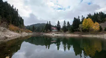 Ayancık