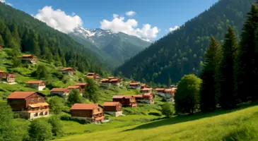 Şehirdeki kalabalıktan, trafikten, binalardan ve yaz sıcaklarından sıkıldıysan kendini doğanın kollarına bırakmalısın. Gözünü alabildiğince yeşile doyabileceğin Karadeniz’in en güzel yaylaları seni bekliyor.