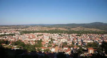 Biga