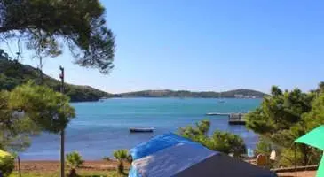 Çamlık Mahallesi