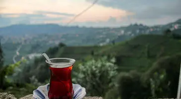 Çayeli