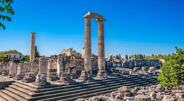 Mavinin ve yeşilin en güzel birlikteliğine sahip Didim her sene binlerce yerli ve yabancı turiste ev sahipliği yapıyor. Turizm olanakları gelişmiş olan Didim’de her bütçeye ve her yaşam stiline uygun oteller, pansiyonlar ve konaklama seçenekleri bulunuyor.