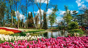 Nisan ayı geldiğinde laleleri görmeyi biz de senin gibi dört gözle bekliyoruz. Eskiden laleler sadece "lale bahçesi" olarak bilinen Emirgan Korusu’na ekilirdi. Son yıllarda artık Lale Festivali adı altında İstanbul’un neredeyse tüm parkları, sahil yolları lalelerle kaplandı. Bu renk cümbüşüne tanıklık etmek istiyorsanız, çıkın gelin İstanbul’a. İstanbul’da yaşıyorsanız bu ay, sözünü ettiğimiz parklara mutlaka gidin. Unutmayın lale zamanı kısa sürüyor. Nisan ayında bu güzellikleri izleyebileceğiniz 7 park hangisi?