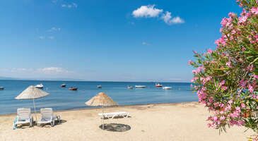 Her bütçeye uygun seçeneklerin bulunduğu Erdek ülkemizin ilk tatil yerlerinden biri. Hem doğa severlerin hem Marmara’da denize girilecek yer arayanların ilk duraklarından biri olan Erdek kamp alanları, uzun sahili, bakımlı plajları ve kolay ulaşımı ile tercih ediliyor.