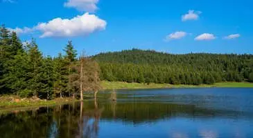 Gerede