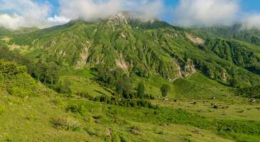 9 g&uuml;nl&uuml;k bayram tatili yaklaştık&ccedil;a &ldquo;Zamanı nasıl en iyi şekilde değerlendirebilirim?&rdquo; telaşı arttı. Hepimiz en iyi nerede dinleneceğimizi, huzuru en &ccedil;ok nerede hissedebileceğimizi araştırıp tatilimizi planlamak istiyoruz. Tabii kimimiz planları &ccedil;oktan yaptı ama hala plan yapmayanlar i&ccedil;in &ccedil;ok g&uuml;zel bir &ouml;neriyle karşınızdayım. Bu bayramda g&ouml;z&uuml;n&uuml;n alabildiğine yeşil g&ouml;rmek, burnunun direğini sızlatacak kadar oksijene kavuşmak ve en &ouml;nemlisi 9 g&uuml;n boyunca huzurun kollarında kaybolmak i&ccedil;in yaylaya &ccedil;ıkmalı. Karadeniz&rsquo;İn birbirinden g&uuml;zel yaylarını hi&ccedil; g&ouml;rmediysen bu tatil senin i&ccedil;in en iyi fırsat. Daha &ouml;nceden yaylaya gitmiş olanlar şu an u&ccedil;ak biletlerini buradan alıyorlar bile. Gorgit Yaylası, Artvin Gorgit&rsquo;i anlatmak i&ccedil;in ne tanım yapsam havada kalacak. O g&uuml;zelliği sana kelimelerle pek anlatamam ama deneyeceğim. Bir kere yeşilin en a&ccedil;ığından en koyusuna kadar t&uuml;m tonlarını g&ouml;rebilirsin Gorgit&rsquo;te. Hatta rivayet olunur ki, pantone renk kataloğunda yeşilin bu kadar &ccedil;ok tonu yokmuş. Ben rivayetlerin yalancısıyım bilemem. Şehir kaosunda kaybolup giden, kuş sesi duyunca garipseyen b&uuml;nyeye bu kadar doğa şok etkisi yaratıyor tabii ki ama emin ol o ilk an hissettiklerinden sonra şehre d&ouml;nmek istemeyeceksin. {flight_search_form_banner} Kiraz Yaylası, Trabzon Kiraz Yaylası&rsquo;nda nefes aldıktan sonra daha &ouml;nce hi&ccedil; nefes almadığını hissedeceksin. Yaklaşık 1700 metre rakımlı yaylanın oksijenini soluduğun an ciğerlerin bayram edecek ben s&ouml;yleyeyim. Oh o ilk g&uuml;n ne de g&uuml;zel uyunur, hayali bile yetti. Bazı yaylalar sosyal tesis bulma konusunda sıkıntılı olabiliyor ama Kiraz Yaylası &ouml;yle değil. Ne ararsan bulabilirsin. Yaylada huzur buldun ama biraz da adrenalin istersen Kiraz Yaylası&rsquo;nda o da kolay. Yerli halkın sık sık yaptığı, turistlerin de ilgisini toplayan &ccedil;im kayağı tatiline heyecan katacak. Sis Dağı Yaylası, Giresun Sis Dağı Yaylası&rsquo;nda deniz var bunu biliyor muydun? &ldquo;Yaylada nasıl deniz oluşurmuş dalga mı ge&ccedil;iyorsun?&rdquo; diye d&uuml;ş&uuml;nme &ccedil;&uuml;nk&uuml; bu deniz, bulut denizi. Sis Dağı Yaylası, diğer yaylalara g&ouml;re denize yakın bir yayla olduğu i&ccedil;in sislerle ve bulutlarla kaplı olur. O y&uuml;zden de manzara her zaman bulut denizidir. Yeşilliklerin arasına bağdaş kurup oturduğunda g&ouml;z&uuml;n alabildiğince bulutlar g&ouml;r&uuml;rs&uuml;n. Ayrıca &ccedil;ok y&uuml;ksek rakımda konumladığından havası da &ccedil;ok temiz bu yaylanın. Yani deniz, kum, g&uuml;neş &uuml;&ccedil;l&uuml;s&uuml;yle kapışabilecek bir rakip var bu yaylada: bulut, yeşil, oksijen. Haldizen Yaylası, Trabzon Uzung&ouml;l, Uzung&ouml;l diye doğal g&uuml;zelliklerin yapısını bozduk birazcık ne yazık ki ama Haldizen Yaylası, Uzung&ouml;l&rsquo;e &ccedil;ok yakın ve doğallığını korumaya devam ediyor. Bu yayla aslında Demirkapı Yaylası olarak da anılabiliyor. Haldizen Dağları&rsquo;nın eteklerinde olduğu i&ccedil;in yerli halk genelde Haldizen Yaylası diye bahsediyor tabii. Yani yol sorduğunda nereden bahsettiğini anlamazlarsa hazırlıklı ol. Bu yaylanın etrafı dağ g&ouml;lleriyle &ccedil;evrili olduğu i&ccedil;in manzaralar o kadar g&uuml;zel oluyor ki ne en iyi fotoğraf makinesi ne de en iyi fotoğraf&ccedil;ı o g&uuml;zelliği tam olarak yansıtamıyor bence. Anzer Yaylası, Rize Anzer balının ne kadar g&uuml;zel olduğunu duymuşsundur diye d&uuml;ş&uuml;n&uuml;yorum. İşte o balın kaynağı, Anzer Yaylası. Hatta bu y&uuml;zden Ballık&ouml;y olarak da bahsedilebiliyor. Ee balın memleketi dedik tabii ki rengarenk bir manzara olacak değil mi? Bir&ccedil;ok &ccedil;i&ccedil;eğe, hatta &ouml;zellikle endemik t&uuml;rlere, ev sahipliği yapan bu yayla turistlerin de odak noktası. Anzer Yaylası&rsquo;nın bir diğer g&uuml;zel yanı da doğa turizmini heyecanlı bir aktiviteye d&ouml;n&uuml;şt&uuml;ren etkinliklerin yapılıyor olması. Trekking ve zirve tırmanışını mutlaka yaparsın da bence yama&ccedil; paraş&uuml;t&uuml; de yapmalısın. 9 g&uuml;nl&uuml;k tatilin tam olarak yama&ccedil; paraş&uuml;t&uuml; yaptığın an unutulmaz arasına yazılacak emin ol. Tabii ki daha bir&ccedil;ok g&uuml;zel yayla var, bunlar sadece benim &ouml;nerilerim. Bayram tatilini yaylada ge&ccedil;irmeye karar verdiysen u&ccedil;ak biletini buradan alabilirsin. &nbsp;