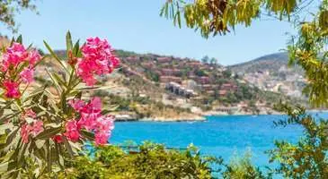 Kalkan