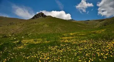 Kıbrıscık