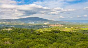 Ege'nin d&uuml;nyaca &uuml;nl&uuml; kıyı şeridinin ve masmavi denizinin yanında yemyeşil yaylalarıyla da ilgi g&ouml;r&uuml;yor. Yaz aylarında bunaltıcı sıcaklardan ka&ccedil;ıp serin bir nefes almak isteyenler i&ccedil;in adeta bir sığınak olan Ege yaylaları, sadece ferahlatıcı iklimleriyle değil, aynı zamanda el değmemiş doğaları, zengin bitki &ouml;rt&uuml;s&uuml; ve geleneksel yaşam dokusuyla da seni b&uuml;y&uuml;leyecek. Ege'nin kalbinde, şehir g&uuml;r&uuml;lt&uuml;s&uuml;nden uzakta huzur ve sessizlik arayanların mutlaka keşfetmesi gereken bu cennet k&ouml;şeleri, doğa y&uuml;r&uuml;y&uuml;şlerinden kamp&ccedil;ılık ve fotoğraf&ccedil;ılığa kadar her zevke hitap eden bir ka&ccedil;ış rotası sunuyor. 1. Kozak Yaylası - Bergama/İzmir Bergama&rsquo;nın doğa cenneti Kozak Yaylası, yemyeşil fıstık &ccedil;amı ormanları ve serin havasıyla adeta bir cennet. Bergama'ya yakın konumuyla kolayca ulaşılabilen yayla, yılın her d&ouml;nemi doğa tutkunlarını, fotoğraf&ccedil;ıları ve huzur arayanları kendine &ccedil;ekiyor. &Ouml;zellikle sonbaharda fıstıkların olgunlaştığı d&ouml;nemde hareketlenen Kozak Yaylası, y&ouml;resel pazarları ve &ccedil;evre k&ouml;ylerde sunulan organik &uuml;r&uuml;nlerle de ziyaret&ccedil;ilere otantik bir deneyim yaşatıyor.&nbsp; Kozak Yaylası&rsquo;nın en &ouml;nemli &ouml;zelliği olan fıstık &ccedil;amı ağa&ccedil;ları, Ege ekonomisine katkı sağlarken, aynı zamanda yaylaya kendine &ouml;zg&uuml; o dingin ve huzurlu atmosferi kazandırıyor. Yayla, doğal g&uuml;zelliklerinin yanı sıra y&uuml;r&uuml;y&uuml;ş parkurları, bisiklet rotaları ve y&ouml;resel lezzetleriyle de &ouml;n plana &ccedil;ıkıyor. Kozak Yaylası&rsquo;nda fıstık &ccedil;amlarının altında piknik yapabilir veya mis gibi &ccedil;am kokusu eşliğinde uzun doğa y&uuml;r&uuml;y&uuml;şlerine &ccedil;ıkabilirsin.&nbsp; Konum Linki 2. Bozdağ Yaylası - &Ouml;demiş/İzmir&nbsp; Ege B&ouml;lgesi&rsquo;nin sıcak g&uuml;nlerinden ka&ccedil;ış noktası olan Bozdağ Yaylası, muhteşem doğası ve serin havasıyla &ccedil;ok seviliyor. Y&uuml;ksek rakımları &ccedil;am ormanlarıyla kaplı yayla, ferah bir nefes aldırırken her k&ouml;şesinde de etkileyici manzaralar sunuyor. Yaz aylarında piknik&ccedil;ilerin, doğa y&uuml;r&uuml;y&uuml;ş&ccedil;&uuml;lerinin ve kamp&ccedil;ıların uğrak yeri olan Bozdağ Yaylası, kış aylarında ise bambaşka bir atmosfere b&uuml;r&uuml;n&uuml;yor. Kar yağdığında bembeyaz bir &ouml;rt&uuml;yle kaplanan yayla, b&ouml;lgenin tek kayak merkezi olan Bozdağ Kayak Merkezi ile kış sporları tutkunlarını da kendine &ccedil;ekiyor. Bozdağ Yaylası&rsquo;nın &ccedil;evresindeki k&ouml;yler ise y&ouml;resel lezzetleriyle &ccedil;ok ilgi g&ouml;r&uuml;yor. Dağ eteklerindeki k&uuml;&ccedil;&uuml;k restoranlarda y&ouml;reye &ouml;zg&uuml; otlarla hazırlanan yemekleri tadabilir, taze dağ &ccedil;ileklerini deneyebilir ve organik &uuml;r&uuml;nler satın alabilirsin. Konum Linki {insightBoxStart}Yazar Notu: Bozdağ Yaylası, tarih&icirc; Birgi ve G&ouml;lc&uuml;k gibi yakındaki yerleşim yerlerini keşfetmek i&ccedil;in de harika bir başlangı&ccedil; noktası.{insightBoxEnd} 3. Kefe Yaylası - Serinhisar/Denizli Denizli'nin doğa cennetlerinden Kefe Yaylası, yeşilin binbir tonuyla s&uuml;sl&uuml; g&uuml;zelliğiyle huzur arayanların sevdiği adreslerden. Toros Dağları'nın batı uzantılarında deniz seviyesidnen yaklaşık 1.500 metre y&uuml;kselikte bulunan yayla, tertemiz havasıyla yenilenmek i&ccedil;in ideal. Etrafı &ccedil;am ve sedir ağa&ccedil;larıyla &ccedil;evrili olan Kefe Yaylası, berrak su kaynaklarıyla da biliniyor.&nbsp; &Ouml;zellikle yaz aylarında bunaltıcı sıcaklardan ka&ccedil;arak serin bir nefes alabileceğin yaylanın geniş otlakları ve sık ormanlık alanlarında doğa y&uuml;r&uuml;y&uuml;ş&uuml;, kamp&ccedil;ılık ve piknik gibi aktiviteler yapabilirsin. Kefe Yaylası seyir alanlarından &ccedil;evredeki g&ouml;rkemli dağları ve vadiyi kuş bakışı izleyerek de ruhunu dinlendirebilirsin.&nbsp; Konum Linki {insightBoxStart}Yazar Notu: Gelişmiş turizm olanaklarına sahip Kefe Yaylası&rsquo;nda &uuml;retilen taze peynir, tereyağı ve bal gibi &uuml;r&uuml;nlerden satın alabilirsin.{insightBoxEnd} 4. Karabağlar Yaylası - Muğla Muğla merkezine sadece birka&ccedil; kilometre uzaklıktaki Karabağlar Yaylası, kendine has huzurlu bir atmosfere sahip. Yemyeşil bitki &ouml;rt&uuml;s&uuml;, asırlık &ccedil;ınar ağa&ccedil;ları ve serin sularıyla &ccedil;ok sevilen yayla, &ouml;zellikle yaz aylarında bunaltıcı sıcaklardan ka&ccedil;mak isteyenler i&ccedil;in vazge&ccedil;ilmez bir yer. Karabağlar Yaylası, sahip olduğu doğal g&uuml;zelliklerin yanında kendine &ouml;zg&uuml; mimarisiyle de dikkat &ccedil;ekiyor. Geleneksel Muğla evleri, yaylaya eşsiz bir otantik hava katıyor.&nbsp; Her k&ouml;şesi tarih kokan Karabağlar Yaylası, sadece doğa tutkunları i&ccedil;in değil, aynı zamanda y&ouml;resel lezzetleri keşfetmek isteyenler i&ccedil;in de zengin se&ccedil;enekler sunuyor. Yaylanın serin havasında y&ouml;reye &ouml;zg&uuml; lezzetler, g&ouml;zlemeler ve taze sıkılmış meyve suları eşliğinde keyifli bir mola verebilirsin. Yaylanın k&uuml;&ccedil;&uuml;k kahvelerinde ise Muğla'nın sıcakkanlı insanlarıyla tanışma fırsatı bulabilirsin.&nbsp; Konum Linki {insightBoxStart}Yazar Notu: G&uuml;nd&uuml;z ve gece sıcaklıklarının farklı olduğu Karabağlar Yaylası&rsquo;na giderken yanına mutlaka sıcak tutacak giysiler almalısın.{insightBoxEnd} 5. Topuk Yaylası - Gediz/K&uuml;tahya Ege B&ouml;lgesi&rsquo;nin başka bir sevilen yaylası olan Topuk Yaylası, yemyeşil ormanların arasında gizlenmiş bir doğa harikası. Zamanın adeta durduğu bir cennet k&ouml;şesi olan yayla, Ege'nin sıcak ikliminden ka&ccedil;anlar i&ccedil;in serin ve huzurlu bir sığınak. &Ccedil;am, k&ouml;knar ve ardı&ccedil; ağa&ccedil;larının oluşturduğu eşsiz manzaralar seni b&uuml;y&uuml;leyecek g&uuml;zellikte.&nbsp; B&ouml;lgenin en &ouml;nemli doğal g&uuml;zelliklerinden biri olan Topuk Yaylası G&ouml;leti ise yaylanın tam kalbinde yer alıyor ve &ccedil;evresi dinlenmek, piknik yapmak veya doğa y&uuml;r&uuml;y&uuml;ş&uuml;ne &ccedil;ıkmak i&ccedil;in ideal. Topuk Yaylası&rsquo;nın trekking rotaları, fotoğraf tutkunları i&ccedil;in benzersiz kareler yakalama fırsatı verirken, yayladaki kamp alanları da g&uuml;venli ve doğal bir konaklama ortamı sağlıyor.&nbsp; Topuk Yaylası, aynı zamanda tarih&icirc; dokuyla da &ouml;ne &ccedil;ıkıyor. Osmanlı Devleti'nin kurucularından Osman Gazi ve ailesinin yaz aylarını ge&ccedil;irdiği bu topraklar, tarihin canlı birer tanığı. Konum Linki 6. Bağbaşı Yaylası - Pamukkale/Denizli Denizli merkezine olduk&ccedil;a yakın olan Bağbaşı Yaylası, &ouml;zellikle yaz aylarında bunaltıcı sıcaklardan ka&ccedil;mak isteyenler i&ccedil;in kolay ulaşılabilir bir dinlenme noktası. Yaylaya ulaşımı sağlayan teleferik hattı, hem keyifli bir yolculuk yaşatıyor hem de Denizli'nin panoramik manzarasını kuş bakışı izleme fırsatı veriyor. Yaklaşık 1.400 metre rakımdaki Bağbaşı Yaylası, tertemiz havası ve yemyeşil &ccedil;am ormanlarıyla &uuml;nl&uuml;. Burada piknik yaparak, doğa y&uuml;r&uuml;y&uuml;şlerine &ccedil;ıkarak veya sadece şehrin g&uuml;r&uuml;lt&uuml;s&uuml;nden uzaklaşarak yenilenmen m&uuml;mk&uuml;n. Yayla, modern olanakları doğanın huzuruyla birleştiren nadir yerlerden biri olmasıyla da &ouml;ne &ccedil;ıkıyor.&nbsp; Bağbaşı Yaylası, sadece yazın değil, kışın da g&ouml;r&uuml;lmeye değer. Kar yağdığında bembeyaz bir &ouml;rt&uuml;yle kaplanan yayla, kar keyfi yapmak isteyenler i&ccedil;in de pop&uuml;ler bir destinasyon h&acirc;line geliyor. Doğa sporlarından y&ouml;resel yiyeceklere, dinlendirici bir g&uuml;nden macera dolu bir kampa kadar pek &ccedil;ok farklı deneyimi Bağbaşı Yaylası&rsquo;nda bir arada bulabilirsin. Konum Linki 7. Ağla Yaylası - K&ouml;yceğiz/Muğla Y&uuml;ksek rakımlı Ağla Yaylası, rengarenk yayla &ccedil;i&ccedil;ekleri, &ccedil;am ve sedir ağa&ccedil;larıyla s&uuml;sl&uuml; g&uuml;zelliğiyle keşfedilmeye değer Ege yaylalarından biri. Temiz dağ havası ve b&uuml;y&uuml;leyici manzaralarıyla ziyaret&ccedil;ileri &uuml;zerinde adeta terapi etkisi yaratan yaylanın ortasındaki g&ouml;let ise &ccedil;evresindeki kamelyalar ve piknik masalarıyla hem piknik yapmak hem de doğanın i&ccedil;inde dinlenmek i&ccedil;in &ccedil;ok ziyaret ediliyor. K&ouml;yceğiz G&ouml;l&uuml;'ne bakan konumuyla Ağla Yaylası, masmavi sulara uzanan eşsiz manzarasıyla tablo g&uuml;zelliğinde fotoğraflar &ccedil;ekme fırsatı da veriyor. Ağla Yaylası, hem g&uuml;n&uuml;birlik ziyaretler hem de kamp yaparak doğada daha fazla zaman ge&ccedil;irmek isteyenler i&ccedil;in g&uuml;zel bir se&ccedil;enek. Konum Linki {insightBoxStart}Yazar Notu: Kış aylarında karla kaplanan Ağla Yaylası, kış turizmi i&ccedil;in de potansiyel taşıyor. Kış aylarında yaylayı gideceksen doğru ekipmanlarla ve deneyimli rehberler eşliğinde b&ouml;lgeyi gezmeni &ouml;neririz.{insightBoxEnd} 8. Bozdağ Tırpan Yaylası - &Ouml;demiş/İzmir Bozdağ eteklerinde gizlenen Tırpan Yaylası, sıcak yaz aylarında serin ve temiz havasıyla adeta bir vahayı andırıyor. Şehir hayatının g&uuml;r&uuml;lt&uuml; ve karmaşasından uzaklaşmak isteyenler i&ccedil;in ideal bir ka&ccedil;ış noktası sunan yayla, &ccedil;am ve kestane ormanlarıyla &ccedil;evrili g&uuml;zel bir doğaya sahip. Yaylanın yeşil dokusu, tertemiz havası ve berrak suları, hem fiziksel hem de zihinsel bir dinlenme fırsatı veriyor.&nbsp; Fotoğraf&ccedil;ılık tutkunları i&ccedil;in zengin bitki &ouml;rt&uuml;s&uuml; ve hayvan &ccedil;eşitliliği ile eşsiz manzaralar sunan Tırpan Yaylası&rsquo;nda d&ouml;rt mevsim ayrı bir g&uuml;zelliğe şahit olabilirsin. &Ouml;zellikle yaz aylarında piknik yapmak veya kamp kurmak i&ccedil;in sık&ccedil;a tercih edilen yaylanın huzur dolu atmosferinde ruhunu dinlendirebilirsin. Konum Linki {insightBoxStart}Yazar Notu: Tırpan Yaylası&rsquo;nda yaz aylarında kurulan tezg&acirc;hlarda taze dağ &ccedil;ileği, y&ouml;reye &ouml;zg&uuml; otlar ve organik sebzeler gibi doğal &uuml;r&uuml;nleri bulabilir, yerel lezzetlerin tadına bakabilirsin.{insightBoxEnd} 9. Paşa Yaylası - Efeler/Aydın Ege B&ouml;lgesi&rsquo;nin kavurucu yaz sıcaklarından ka&ccedil;mak isteyenler i&ccedil;in başka bir saklı cennet de Paşa Yaylası. Serin ve temiz havasıyla ferah bir nefes aldıran yayla, &ccedil;am ormanlarıyla kaplı doğasıyla dikkat &ccedil;ekiyor. Doğanın t&uuml;m c&ouml;mertliğini sergilediği yaylada yemyeşil manzaralar eşliğinde uzun doğa y&uuml;r&uuml;y&uuml;şlerine &ccedil;ıkabilir, kuş sesleri arasında huzur bulabilir veya ailenle keyifli bir piknik yapabilirsin.&nbsp; Paşa Yaylası&rsquo;nın &ccedil;evresindeki k&ouml;yler de y&ouml;resel lezzetleriyle burayı daha &ccedil;ekici kılıyor. Yaylada kurulan tezg&acirc;hlarda ise taze dağ &uuml;r&uuml;nleri ve y&ouml;resel peynirler bulabilirsin. Yayla, hem dinlenmek hem de doğayla baş başa kalmak isteyen herkese hitap ediyor. Konum Linki {insightBoxStart}Yazar Notu: Paşa Yaylası, Bozdoğan kemerleri ve doğal g&uuml;zellikleriyle bilinen Madran Dağı'na yakın konumuyla b&ouml;lgedeki diğer turistik yerleri keşfetmek isteyenler i&ccedil;in de harika bir başlangı&ccedil; noktası.{insightBoxEnd} 10. Madran &Ccedil;atal Yaylası - &Ccedil;ine/Aydın G&ouml;rkemli Madran Dağı'nın eteklerinde uzanan &Ccedil;atal Yaylası, doğa tutkunları ve huzur arayanların en sevdiği yerlerden. Ege'nin en y&uuml;ksek noktalarından birinde yer alan yayla, ziyaret&ccedil;ilerine serin ve oksijen seviyesi y&uuml;ksek temiz bir dağ havası sunuyor. Yemyeşil &ccedil;ayırları, &ccedil;am ormanları ve doğal su kaynaklarıyla &uuml;nl&uuml; Madran &Ccedil;atal Yaylası, &ouml;zellikle yaz aylarında bunaltıcı sıcaklardan ka&ccedil;ış i&ccedil;in m&uuml;kemmel bir alternatif. Kuş sesleri eşliğinde yapılacak doğa y&uuml;r&uuml;y&uuml;şleri, bisiklet turları ve piknikler, yaylanın doğal g&uuml;zelliklerini keşfetmenin en keyifli yolları arasında.&nbsp; Konum Linki {insightBoxStart}Yazar Notu: Madran &Ccedil;atal Yaylası&rsquo;nın sunduğu panoramik manzara, Ege'nin geniş ovalarının ve dağ sil&uuml;etlerinin kartpostal g&uuml;zelliğinde fotoğraflarını &ccedil;ekmek i&ccedil;in &ccedil;ok uygun.{insightBoxEnd} {{campaignsSlider}} 11. Sultan Yaylası - Yunusemre/Manisa Spil Dağı Milli Parkı'nın zirvelerinde yer alan Sultan Yaylası, yemyeşil bir cennet k&ouml;şesi. Yılın her mevsimi farklı bir g&uuml;zelliğe b&uuml;r&uuml;nen yayla, ilkbaharda uyanan rengarenk &ccedil;i&ccedil;ekleri, yaz aylarında serin g&ouml;lgelik alanları ve sonbaharda sunduğu muhteşem renk c&uuml;mb&uuml;ş&uuml; ile seni b&uuml;y&uuml;leyecek. Yaylanın geniş &ccedil;ayırlıkları ise piknik yapmak, &ccedil;adır kurmak veya uzun doğa y&uuml;r&uuml;y&uuml;şlerine &ccedil;ıkmak i&ccedil;in &ccedil;ok uygun.&nbsp; Sultan Yaylası, tarih&icirc; ve k&uuml;lt&uuml;rel zenginlikleriyle de insanları kendine &ccedil;ekiyor. Spil Dağı'nın uzun tarihinin derin izlerini taşıyan bir&ccedil;ok efsane ve hik&acirc;yeye konu olan yaylada gezerken karşılaşacağın kalıntılar ve doğal oluşumlar, buranın mistik atmosferini yansıtıyor. Konum Linki {insightBoxStart}Yazar Notu: Sultan Yaylası, her yıl d&uuml;zenlenen festivaller ve etkinliklerle de yerel k&uuml;lt&uuml;r&uuml; yaşatıyor. Yayla festivallerinde y&ouml;resel lezzetleri tadabilir ve y&ouml;re halkıyla tanışarak sohbet edebilirsin.{insightBoxEnd} 12. Belenova Yaylası - Kuyucak/Aydın Yaklaşık 1.000 metre rakımdaki Belenova Yaylası, Ege B&ouml;lgesi&rsquo;nin sıcak yazlarından ka&ccedil;mak isteyenler i&ccedil;in ideal bir doğa cenneti. Yemyeşil &ccedil;am ormanları, ferah havası ve sessiz ortamıyla keyifli bir g&uuml;n ge&ccedil;irebileceğin yaylada doğa y&uuml;r&uuml;y&uuml;ş&uuml;, kamp&ccedil;ılık ve piknik gibi aktiviteler yapabilirsin. Geniş &ccedil;ayırlık alanları ve temiz su kaynaklarıyla bilinen yayla, ailesiyle keyifli bir g&uuml;n ge&ccedil;irmek veya sadece doğanın kucağında ruhunu dinlendirmek isteyenler i&ccedil;in m&uuml;kemmel bir durak.&nbsp; Belenova Yaylası&rsquo;nın sunduğu eşsiz panoramik manzaralar ise fotoğraf tutkunları i&ccedil;in de eşsiz kareler yakalama fırsatı veriyor. Bahar ve yaz aylarında d&uuml;zenlenen &ccedil;eşitli şenlikler de yaylanın canlı atmosferini en iyi şekilde yansıtıyor.&nbsp; Konum Linki {insightBoxStart}İpucu: En iyi otel fiyatlarını tek bir yerde g&ouml;rmek, se&ccedil;eceğin otel hakkında bilgi almak ve saniyeler i&ccedil;inde rezervasyon yapmak i&ccedil;in ENUYGUN'da otel araştırmasına başlayabilirsin.{insightBoxEnd} {hotel_search_form_banner} 13. Taşdelen Yaylası- Seydikemer/Denizli Ege B&ouml;lgesi&rsquo;nin en g&uuml;zel doğa cennetlerinden biri de Taşdelen Yaylası. Şehrin merkezine ve &ccedil;evre il&ccedil;elere olan yakınlığına rağmen yayla, doğal g&uuml;zelliğini ve huzur dolu atmosferini korumayı başarıyor. Yemyeşil &ccedil;am ormanlarıyla kaplı Taşdelen Yaylası, berrak ve serin havasıyla &ouml;zellikle yaz aylarında sıcaklıktan bunalanlar i&ccedil;in g&uuml;zel bir gezi alanı. Y&uuml;ksek rakımından dolayı geceleri olduk&ccedil;a serin olan yayla, hem g&uuml;n&uuml;birlik ziyaretler hem de yıldızların altında kamp yapmak isteyenler i&ccedil;in unutulmaz bir deneyim vaat ediyor. Taşdelen Yaylası, k&uuml;lt&uuml;rel bir deneyim arayanlar i&ccedil;in de uygun. B&ouml;lgede h&acirc;l&acirc; geleneksel yayla yaşamını s&uuml;rd&uuml;ren y&ouml;r&uuml;k aileleriyle karşılaşmak m&uuml;mk&uuml;n ve bu da ziyaret&ccedil;ilere Ege'nin otantik yaşam tarzını yakından tanıma fırsatı veriyor.&nbsp; Konum Linki 14. Araboğlu Yaylası - Murat Dağı Ege ve İ&ccedil; Anadolu b&ouml;lgelerinin kesişim noktasında y&uuml;kselen Murat Dağı'nın eteklerinde uzanan Araboğlu Yaylası, 1.800 metreyi aşan rakımıyla yaz aylarında serinlik arayanların ilk uğraması gereken yerlerden. Geniş otlaklarının yanı sıra &ccedil;am, k&ouml;knar ve ardı&ccedil; ağa&ccedil;larından oluşan sık ormanlarıyla da &uuml;nl&uuml; Araboğlu Yaylası, adeta bir kartpostalı andırıyor. Yayla, doğanın i&ccedil;inde aktif bir tatil ge&ccedil;irmek isteyenler i&ccedil;in bolca olanağa sahip. Doğa y&uuml;r&uuml;y&uuml;ş&uuml; ile trekking rotalarında Murat Dağı'nın zengin bitki &ouml;rt&uuml;s&uuml;n&uuml; ve vahşi hayvan &ccedil;eşitliliğini keşfedebilirsin.&nbsp; Zengin vahşi yaşam &ccedil;eşitliliğiyle fotoğraf&ccedil;ıların da &ccedil;ok sevdiği Araboğlu Yaylası&rsquo;nda her mevsim farklı bir g&uuml;zelliğe tanıklık etmen m&uuml;mk&uuml;n. Yayla k&uuml;lt&uuml;r&uuml; hala canlılığını koruyor ve gezinde y&ouml;resel lezzetleri tadarak sıcakkanlı yayla insanlarıyla sohbet edebilirsin.&nbsp; Konum Linki 15. Kuyucak Yaylası - Marmaris/Marmaris Yemyeşil &ccedil;am ormanlarının kucakladığı Kuyucak Yaylası, Ege'nin sıcak yaz g&uuml;nlerinde adeta bir serinlik vahası. Marmaris'in canlı atmosferinden uzaklaşarak ruhunu dinlendirebileceğin yayla, kuş sesleri ve serin esen r&uuml;zg&acirc;rın fısıltısıyla seni karşılayacak. Yaylada &ccedil;am ağa&ccedil;larının yaydığı ferahlatıcı koku, tertemiz yayla havasıyla birleşerek eşsiz bir atmosfer oluşturuyor.&nbsp; Ege B&ouml;lgesi&rsquo;nin en nadide doğal g&uuml;zelliklerinden biri olan Kuyucak Yaylası, doğayla i&ccedil; i&ccedil;e huzurlu bir ka&ccedil;amak yapmak isteyenler i&ccedil;in m&uuml;kemmel bir alternatif. Yaylanın berrak ve buz gibi kaynak sularını yudumlarken doğanın en saf halini de fotoğraflayabilirsin.&nbsp; Konum Linki 16. Girdev Yaylası&nbsp; Seydikemer/Muğla Toros Dağları'nın eteklerinde uzanan Girdev Yaylası, Ege'nin bozulmamış doğal g&uuml;zelliklerinden. Y&uuml;ksek rakımı sayesinde yaz aylarında bile serin kalan yaylanın geniş d&uuml;zl&uuml;kleri, etrafını saran heybetli dağlar ve endemik bitki t&uuml;rleri adeta bir tabloyu andırıyor. Yılın b&uuml;y&uuml;k b&ouml;l&uuml;m&uuml;nde y&ouml;r&uuml;klerin yaşadığı Girdev Yaylası, geleneksel yaşam tarzının izlerini taşımasıyla da k&uuml;lt&uuml;rel bir yolculuk yaşatıyor. Girdev Yaylası'nın en b&uuml;y&uuml;leyici &ouml;zelliklerinden biri de kuşların uğrak yeri olan Girdev G&ouml;l&uuml;. G&ouml;l kenarında yapılan y&uuml;r&uuml;y&uuml;şler ve fotoğraf &ccedil;ekimleri, unutulmaz anlar yaşama fırsatı veriyor. Yayla, trekking ve dağ bisikleti gibi aktivitelere de olduk&ccedil;a elverişli.&nbsp; Konum Linki {insightBoxStart}Yazar Notu: Yayla evlerini gezebileceğin Girdev Yaylası'nda &ccedil;adırlarda yaşayan y&ouml;r&uuml;klerin k&uuml;lt&uuml;r&uuml;n&uuml; de daha yakından tanıyabilirsin.{insightBoxEnd} 17. Karafilli Yaylası - Fethiye/Muğla Fethiye'nin hareketli plajlarından ve turistik kalabalığından biraz uzaklaşmak i&ccedil;in Karafilli Yaylası&rsquo;na uğrayabilirsin. Y&uuml;ksek rakımı sayesinde Ege'nin yakıcı sıcaklarından ka&ccedil;abileceğin yayla, yemyeşil &ccedil;am ormanlarıyla &ccedil;evrili. Yaylaya &ccedil;ıkan kıvrımlı yollar ise her virajda seni b&uuml;y&uuml;leyici bir doğa manzarasıyla buluşturacak. Tertemiz dağ havası ve kuş cıvıltıları eşliğinde şehir hayatının t&uuml;m stresini geride bırakabileceğin Karafilli Yaylası, doğa sporları ve keşifler i&ccedil;in de harika bir ortam sunuyor.&nbsp; Y&uuml;r&uuml;y&uuml;ş ve trekking tutkunları i&ccedil;in &ccedil;eşitli zorluk seviyelerinde parkurlara sahip yayla, fotoğraf meraklılarına da eşsiz tabiat kareleri yakalama olanağı veriyor. Mevsimine g&ouml;re renk değiştiren bitki &ouml;rt&uuml;s&uuml;, zengin yaban hayatı, piknik alanları, doğal su kaynakları ve b&uuml;y&uuml;leyici manzarasıyla Karafilli Yaylası, Fethiye'nin en sevilen yaylalarından biri.&nbsp; Konum Linki 18. Yerk&uuml;pe Yaylası -Menteşe/Muğla Ege'nin Akdeniz'e a&ccedil;ılan kapısında uzanan Yerk&uuml;pe Yaylası, sıcak yaz aylarında bile serin ve ferahlatıcı bir iklime sahip. Kızıl&ccedil;am ve &ccedil;ınar ağa&ccedil;larıyla s&uuml;sl&uuml; Yerk&uuml;pe Yaylası, ziyaret&ccedil;ilere hem bir oksijen deposu hem de g&ouml;rsel bir ş&ouml;len sunuyor. Yaylanın en dikkat &ccedil;ekici &ouml;zelliklerinden biri ise kendine &ouml;zg&uuml; jeolojik yapısı.&nbsp; Binlerce yılda oluşan travertenler ve mağaralar, yaylayı doğa harikası bir keşif noktası haline getiriyor. Geniş piknik alanları, temiz su kaynakları ve sessiz ortamıyla dikkat &ccedil;eken Yerk&uuml;pe Yaylası, her yıl d&uuml;zenlenen şenlikleriyle k&uuml;lt&uuml;rel deneyimler arayanlara hitap ediyor. Konum Linki 19. Topuklu Yaylası - Menteşe/Muğla&nbsp; Deniz seviyesinden yaklaşık 1.700 metre y&uuml;kseklikteki Topuklu Yaylası, &ouml;zellikle yaz aylarında Ege'nin kavurucu sıcaklarından ka&ccedil;anları kendine &ccedil;ekiyor. Tertemiz dağ havası sunan yayla, &ccedil;am ve sedir ağa&ccedil;larının s&uuml;slediği ormanlık alanlarla &ccedil;evrili. Sakin ve huzurlu atmosferiyle g&uuml;r&uuml;lt&uuml;den uzakta dinlenme fırsatı bulabileceğin yaylanın geniş d&uuml;zl&uuml;kleri ise piknik ve kamp yapmak i&ccedil;in &ccedil;ok uygun. Topuklu Yaylası, her mevsim farklı bir g&uuml;zelliğe sahip olsa da en &ccedil;ok yaz aylarındaki serinlik ve huzuruyla ilgi g&ouml;r&uuml;yor.. Konum Linki {insightBoxStart}Yazar Notu:&nbsp;Topuklu Yaylası&rsquo;nın el değmemiş g&uuml;zelliğini trekking ve doğa y&uuml;r&uuml;y&uuml;ş&uuml; turlarıyla keşfe &ccedil;ıkabilirsin. Pek &ccedil;ok farklı rota sunan yaylada b&ouml;lgenin zengin bitki &ouml;rt&uuml;s&uuml;n&uuml; ve hayvan &ccedil;eşitliliğini yakından g&ouml;rebilirsin.{insightBoxEnd} 20. Ayvacık Yaylası - &Ouml;demiş/İzmir Serin ve tertemiz havasıyla Ege B&ouml;lgesi&rsquo;nin oksijen depolarından biri olan Ayvacık Yaylası, &ccedil;evresini saran yemyeşil &ccedil;am ormanlarıyla &uuml;nl&uuml;. Şehir hayatının g&uuml;r&uuml;lt&uuml;s&uuml;nden ve karmaşasından uzaklaşarak sadece kuş ve r&uuml;zg&acirc;r sesini dinleyebileceğin yayla, hem geniş d&uuml;zl&uuml;klerde piknik yapmak hem de kamp kurarak &ccedil;am ağa&ccedil;larının g&ouml;lgesinde dinlenmek i&ccedil;in ziyaret edilebilir.&nbsp; Y&uuml;r&uuml;y&uuml;ş ve trekking tutkunlarının &ccedil;eşitli zorluklarda patikalar bulabileceği Ayvacık Yaylası, fotoğraf meraklılarına da eşsiz manzaralar sunuyor. Yayla, kendine &ouml;zg&uuml; endemik bitki t&uuml;rleri, y&ouml;resel k&uuml;lt&uuml;r&uuml; ve organik &uuml;r&uuml;nleriyle de keşfedilmeye değer.&nbsp; Konum Linki Birbirinden g&uuml;zel yayları keşfettikten sonra Ege B&ouml;lgesi&rsquo;nin en g&uuml;zel tatil yerleri yazımızı inceleyebilirsin.