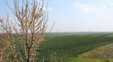 Lüleburgaz