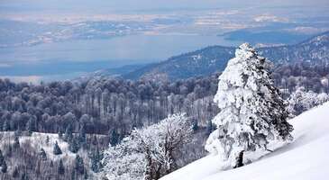 Kış mevsiminin son d&ouml;nemleri olarak kabul edilen Şubat ayını yavaş yavaş geride bırakmaya hazırlandığımız bu d&ouml;nemlerde artık yavaştan bahar ve yaz tatili hazırlıklarına başladık. Buna karşın kışın keyfini tam anlamıyla &ccedil;ıkaramayanlar i&ccedil;in hen&uuml;z ge&ccedil; değil. Yurt dışına &ccedil;ıkmadan g&ouml;rebileceğiniz benzersiz rotalar var. 1- Sapanca &ndash; Marmara Son yıllarda İstanbul'a yakın ka&ccedil;amak noktaları arasında gitgide pop&uuml;ler hale gelen Sapanca'da b&ouml;lgenin adıyla birlikte anılan g&ouml;l, benzersiz doğal g&uuml;zellikler ve her saniyesinde huzurla dolu bir atmosfer sizi bekliyor. Yine son d&ouml;nemlerde sağlık turizmi ile de &ouml;ne &ccedil;ıkan yerlerden biri olan Sapanca'ya erken saatlerde gelerek g&uuml;ne lezzetli bir kahvaltı ile başlayabilirsiniz. Daha sonra g&ouml;l&uuml; &ccedil;evreleyen ormanlar arasında gezintiye &ccedil;ıkabilir ve manzaralı bir yerde yemeğinizi yiyebilirsiniz. Yemek konusunda kararsız kalırsanız da b&ouml;lgenin en meşhur lezzetlerinden biri olan ıslama k&ouml;fte ile başlayabilirsiniz. Eğer uzakta yaşıyorsanız, Sapanca'ya gelmek i&ccedil;in &ouml;nce İstanbul'a u&ccedil;manız gerekecek. Şehre en uygun seferlere g&ouml;z atmak ve İstanbul u&ccedil;ak biletinizi satın almak i&ccedil;in tıklayın. Sapanca'yı keşfederken kalabileceğiniz otellerin listesi de burada! 2- Ilgaz Dağı &ndash; Karadeniz Karadeniz tatili denince aklınıza hemen yemyeşil yaylalar ve buz gibi akan dereler gelebilir. Ancak b&ouml;lgede t&uuml;m bunlardan daha fazlası var. &Ccedil;ankırı ve Kastamonu arasında yer alan Ilgaz Dağı'nda kayak yapabileceğiniz gibi Karadeniz'in t&uuml;m bu eşsiz g&uuml;zelliklerini sonuna kadar yaşayabilirsiniz. Buraya kadar geirseniz Kastamonu merkeze inerek b&ouml;lgenin meşhur evlerini g&ouml;rmeyi ve Karadeniz lezzetlerini denemeyi unutmayın. Peki, şehirde başka nereler g&ouml;r&uuml;lmeli diye d&uuml;ş&uuml;n&uuml;yorsanız, zaman kaybetmeden Kastamonu'da gezilecek yerler galerimize g&ouml;z atın. Şehirde tadına bakabileceğiniz lezzetler ise Kastamonu'da ne yenir ne i&ccedil;ilir galerimizde. {flight_search_form_banner} 3- Davraz &ndash; Akdeniz Akdeniz B&ouml;lgesi, genellikle adı kar ve kış tatiliyle bir arada anılan bir yer değil. Ancak Isparta'da bulunan Davraz Kayak Merkezi, bu anlamda b&ouml;lgenin adını duyuracak kadar iddialı bir yer. Sahip olduğu pistler, ulaşım ve konaklama se&ccedil;enekleri ve daha bir&ccedil;ok şeyle Uludağ ve Paland&ouml;ken gibi yerleri aratmayan Davraz'a ulaşmak i&ccedil;in Isparta şehir merkezinden hareket eden ara&ccedil;ları kullanabilirsiniz. Isparta'ya doğrudan u&ccedil;arak Davraz'a &ccedil;ıkmak i&ccedil;in Isparta U&ccedil;ak bileti sayfamıza g&ouml;z atın. Eğer şehir merkezinde bir s&uuml;re kalmanızı gerekirse, en uygun Isparta otelleri de burada!&nbsp; 4- Kars &ndash; Doğu Anadolu T&uuml;rkiye'nin en y&uuml;ksek il merkezine sahip olması nedeniyle ''y&uuml;ksek şehir'' olarak da bilinen Kars, kışın keyfini tarihi bir atmosferde s&uuml;rmek isteyenler i&ccedil;in iyi bir alternatif. Uzun bir d&ouml;nem Rus işgali altında kalan şehirde bu d&ouml;nemlerden g&uuml;n&uuml;m&uuml;ze ulaşan eski yapıları karlar altında g&ouml;rmek i&ccedil;in de ideal. Şehirde bu d&ouml;nemlerde hava sıcaklığı genellikle eksili değerlerden yukarı &ccedil;ıkmıyor. Yani buraya kışın gelmek i&ccedil;in karlı ve soğuk havayı ger&ccedil;ekten sevmeniz gerekiyor. Kars'a doğru yola &ccedil;ıkmak i&ccedil;in bu nedenler yeterli gelmediyse, yazımıza g&ouml;z atarak şehrin &ouml;ne &ccedil;ıkan diğer &ouml;zelliklerini de keşfedebilirsiniz. Kars'ta havalimanı şehir merkezine sadece 7 kilometre uzaklıkta. Şehre u&ccedil;mak i&ccedil;in hemen tıklayın ve Kars u&ccedil;ak biletlerini karşılaştırarak biletinizi kolayca satın alın. 5- Kızılcahamam &ndash; İ&ccedil; Anadolu Ankara yakınlarında bulunan ve &ouml;zellikle hafta sonu ka&ccedil;ış rotalarından olan Kızılcahamam, şifalı suları ve kaplıcalarıyla &uuml;nl&uuml; merkezlerden biri. Tarih boyunca Hitit, Pers ve Lidya gibi uygarlıkların yerleşim b&ouml;lgesi olmuş Kızılcahamam Bizans ve sonrasında T&uuml;rklerin hakimiyeti altına girmiş bir yer. B&ouml;lgeden &ccedil;ıkan şifalı sular ilk &ccedil;ağlardan g&uuml;n&uuml;m&uuml;ze &ccedil;eşitli hastalıkların tedavisinde kullanılıyor. Kızılcahamam'da termal sularıyla şifa dağıtan tesislerde kalarak sağlığınız i&ccedil;in iyi gelecek bir tatil yapabilirsiniz. B&ouml;lge otellerinden birine rezervasyon yaptırmak i&ccedil;in tıklayın. Şehre en uygun u&ccedil;ak biletleri de Ankara u&ccedil;ak bileti sayfamızda.