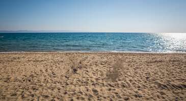 İstanbul, T&uuml;rkiye'nin en b&uuml;y&uuml;k ve en hareketli şehri. Yaz aylarında bu hareketten uzaklaşmak, kısa bir tatil yapıp denizin, plajın ve g&uuml;neşin tadını &ccedil;ıkarmak isteyenler i&ccedil;in pek &ccedil;ok se&ccedil;enek mevcut. Şehirden uzaklaşmadan kısa bir tatil ile denizin keyfini s&uuml;rmek istiyorsan İstanbul&rsquo;dan kısa bir yolculukla ulaşabileceğin bir&ccedil;ok g&uuml;zel plaj seni bekliyor.&nbsp; Hem doğanın hem de denizin tadını &ccedil;ıkarabileceğin bu plajlar, İstanbul'da yaşayanlar i&ccedil;in m&uuml;kemmel bir ka&ccedil;ış noktası. Bu i&ccedil;eriğimizde İstanbul&rsquo;a yakın plajlar hakkında t&uuml;m detaylara yer vereceğiz. 1. Dallas Plajı, Tekirdağ Tekirdağ&rsquo;ın en g&uuml;zel plajlarından biri olan Dallas Plajı, İstanbul&rsquo;a yakınlığıyla &ouml;ne &ccedil;ıkıyor. Tekirdağ &ndash; İstanbul yolu &uuml;zerinde Marmara Ereğlisi&rsquo;nde yer alan plaj, yumuşacık kumsalıyla dikkat &ccedil;ekiyor. Plajda, şemsiye, şezlong, duş kabini, soyunma kabini, WC, b&uuml;fe ve &uuml;cretli otopark gibi imk&acirc;n ve hizmetler mevcut. Ayrıca plaj &ccedil;evresinde kamp alanları gibi konaklayabileceğin alanlar da bulunuyor. İstanbul&rsquo;dan Dallas Plajına ortalama 1,5 &ndash; 2 saatte ulaşılabiliyor. Konum Linki {calismasaatleri}Giriş &uuml;creti Giriş &uuml;cretsiz Şezlong ve şemsiye i&ccedil;in kiralama &uuml;creti alınabilir.{/calismasaatleri} 2. Erikli Plajı, Edirne Erikli Plajı, Edirne&rsquo;nin Keşan il&ccedil;esine bağlı olan Erikli K&ouml;y&uuml;&rsquo;nde yer alıyor. Mavi bayraklı bir plaj olan Erikli Plajı, tertemiz denizi ve kumsalı ile dikkat &ccedil;ekiyor. İstanbul&rsquo;a 260 kilometre mesafede Saroz K&ouml;rfezi&rsquo;nde yer alan plaj ve &ccedil;evresinde kamp alanları, kafeler, restoranlar ve konaklama tesisleri bulunuyor. Plajda, şezlong, cankurtaran, duş, soyunma kabini ve WC gibi imkanlar mevcut. Ayrıca Erikli Plajında hemen her yaz eğlence dolu festivaller d&uuml;zenleniyor. &Ouml;zellikle gen&ccedil;ler, Erikli&rsquo;de ger&ccedil;ekleştirilen bu festivallere yoğun ilgi g&ouml;steriyor. Konum Linki {calismasaatleri}Giriş &uuml;creti Giriş &uuml;cretsiz Şezlong ve şemsiye i&ccedil;in kiralama &uuml;creti alınabilir.{/calismasaatleri} 3. Kıyık&ouml;y Halk Plajı, Kırklareli Kırklareli&rsquo;nin Vize il&ccedil;esinde yer alan Kıyık&ouml;y Halk Plajı, İstanbul&rsquo;a yakın plajlardan biri. İstanbul&rsquo;a ortalama 160 km mesafede yer alan Kıyık&ouml;y Halk Plajına 2,5-3 saatte ulaşılabiliyor. Sakin ve temiz bir plaj olan Kıyık&ouml;y&rsquo;de şezlong, şemsiye, duş kabini, WC, soyunma kabini, b&uuml;fe ve cankurtaran gibi hizmet ve imkanlar mevcut.&nbsp;&nbsp; Konum Linki {calismasaatleri}Giriş &uuml;creti Giriş &uuml;cretsiz Şezlong ve şemsiye i&ccedil;in kiralama &uuml;creti alınabilir.{/calismasaatleri} {insightBoxStart}Yazar Notu: Kıyık&ouml;y denizi bir anda derinleşiyor. Dolayısıyla y&uuml;zme bilmeyenler ve &ccedil;ocuklar i&ccedil;in g&uuml;venli değil.{insightBoxEnd} 4. İğneada Plajı, Kırklareli İstanbul&rsquo;a yaklaşık 238 km (3,5 saat) mesafede yer alan İğneada, Kırklareli Demirk&ouml;y mevkiinde konumlanıyor. T&uuml;rkiye'nin en b&uuml;y&uuml;k longoz ormanlarından birine sahip olan, hatta bu nedenle UNESCO D&uuml;nya Mirası Ge&ccedil;ici Listesi'nde yer alan İğneada, her a&ccedil;ıdan g&ouml;r&uuml;lmesi gereken bir destinasyon. Yemyeşil Longoz ormanlarını masmavi denizle buluşturan İğneada Plajı hem deniz hem de doğa eşliğinde harika bir atmosfere ev sahipliği yapıyor. İğneada Plajı, doğal g&uuml;zellikleri, yumuşak kumsalı, temiz denizi ve sakin atmosferi ile huzur dolu bir tatil imk&acirc;nı sunuyor. Konum Linki {insightBoxStart}İpucu: İstanbul&rsquo;a yakın yerlere seyahat ederken doğa ile i&ccedil;e bir tatil i&ccedil;in bungalov otelleri arasından tercih yapmanı &ouml;neririz.{insightBoxEnd} &nbsp;{hotel_search_form_banner} 5. Kerpe Halk Plajı, Kocaeli Kocaeli&rsquo;nin Kandıra il&ccedil;esinde yer alan Kerpe Halk Plajına İstanbul&rsquo;dan 2 &ndash; 2,5 saatte ulaşılabiliyor. İstanbulluların kısa bir yaz tatili i&ccedil;in sıklıkla tercih ettiği bir yer olan Kerpe&rsquo;de konaklama tesisleri, kamp alanları, g&uuml;nl&uuml;k &ccedil;adır kiralama ve karavan kiralama gibi imkanlar da bulunuyor. Tatilciler, genellikle Kerpe Plajında denizin ve doğanın tadını &ccedil;ıkarıyor.&nbsp; Mavi bayraklı bir plaj olan ve olduk&ccedil;a temiz bir denize sahip olan Kerpe Halk Plajında, şemsiye, şezlong, duş ve soyunma kabini, WC, b&uuml;fe, otopark ve cankurtaran gibi hizmet ve imkanlar mevcut. Konum Linki {calismasaatleri}Giriş &uuml;creti Giriş &uuml;cretsiz Şezlong ve şemsiye kiralama &uuml;creti: 200 TL{/calismasaatleri} 6. Kumcağız Plajı, Kocaeli Kocaeli&rsquo;nin Kandıra il&ccedil;esinde yer alan Kumcağız Plajı, b&ouml;lgedeki en g&uuml;zel plajlardan biri. Hemen her yıl mavi bayrak almayı başaran Kumcağız Plajı, g&uuml;venilir, temiz ve berrak denizi ile biliniyor. Plajda, WC, otopark, bisiklet park alanı, g&ouml;lgelik, cankurtaran, soyunma kabini, sağlık hizmetleri, duş alma ve g&uuml;neşlenme alanları, g&uuml;venli denize girme sahası, plaj temizlik hizmetleri ve engelli bireylere y&ouml;nelik hizmetler bulunuyor. İstanbul&rsquo;a olduk&ccedil;a yakın olan plaja, ortalama 2 &ndash; 2,5 saatte ulaşılabiliyor. Konum Linki {calismasaatleri}Giriş &uuml;creti Giriş &uuml;cretsiz. Şezlong ve şemsiye i&ccedil;in kiralama &uuml;creti alınıyor.{/calismasaatleri} 7. &Ccedil;ınarcık Plajı, Yalova &Ccedil;ınarcık, Yalova&rsquo;da bulunan bir tatil beldesi. &Ccedil;ınarcık ile İstanbul arasında yaklaşık 115 km mesafe bulunuyor. İstanbulluların hem yakınlığı hem de g&uuml;zelliği sebebiyle sıklıkla tercih ettiği bir tatil beldesi olan &Ccedil;ınarcık&rsquo;ta hem &uuml;cretli hem de &uuml;cretsiz plajlar bulunuyor. &Ccedil;ınarcık Plajı, Yalova Belediyesi tarafından işletilen &uuml;cretsiz bir halk plajı. &Ccedil;ınarcık il&ccedil;e merkezinin sahil şeridinde yer alan plaja Poyraz Caddesi &uuml;zerinden &ouml;zel ara&ccedil;la veya y&uuml;r&uuml;yerek ulaşılabiliyor. Plaj temiz bir denize sahip olsa da genel olarak kum ve &ccedil;akıldan oluşuyor. Dolayısıyla her ihtimale karşı deniz ayakkabısıyla suya girmek gerekiyor. Plajda şezlong, şemsiye ve WC gibi imkanlar mevcut. Ayrıca plaj yakınlarında market, b&uuml;fe ve kafe-restoran gibi işletmeler bulunuyor. Konum Linki {calismasaatleri}Giriş &uuml;creti Giriş &uuml;cretsiz Şezlong ve şemsiye i&ccedil;in kiralama &uuml;creti alınabilir.{/calismasaatleri} {insightBoxStart}Yazar Notu: &Ccedil;ınarcık Plajı&rsquo;nda denize girdikten 5 &ndash; 10 m sonrasında derinleşme başladığı i&ccedil;in &ouml;zellikle &ccedil;ocukların ve y&uuml;zme bilmeyenlerin dikkatli olması gerekiyor.{insightBoxEnd} 8. Fıstıklı Plajı, Yalova Fıstıklı Plajı Yalova&rsquo;nın Armutlu il&ccedil;esinde bulunuyor. Tertemiz denizi ile &uuml;nl&uuml; olan plajın sahil şeridi ince kumlu bir yapıya sahip. Plajda şezlong ve şemsiye kiralayabileceğin, yiyecek ve i&ccedil;ecek ihtiyacını karşılayabileceğin bir işletme bulunuyor. İstanbul sakinleri tarafından ilgi g&ouml;ren Fıstıklı Plajında, &ouml;zellikle hafta sonu ve bayram g&uuml;nlerinde yer bulmak zor olabiliyor. Zira Fıstıklı Plajı ile İstanbul arasında yaklaşık 163 km mesafe bulunuyor ve ara&ccedil;la 2,5 saatte ulaşılabiliyor. Bununla birlikte Fıstıklı&rsquo;ya deniz otob&uuml;s&uuml;yle de ulaşmak m&uuml;mk&uuml;n. İDO ve BUDO işletmelerine ait olan deniz otob&uuml;sleriyle Armutlu&rsquo;ya en ge&ccedil; 1 saatte ulaşılabiliyor. Konum Linki {calismasaatleri}Giriş &uuml;creti Giriş &uuml;cretsiz 2 Şezlong + 1 şemsiye 150-200 TL{/calismasaatleri} 9. Karasu Plajı, Sakarya Sakarya&rsquo;ya bağlı bir tatil beldesi olan Karasu, T&uuml;rkiye&rsquo;nin en uzun sahil şeridine sahip olan yerlerinden biri. Bu sahil şeridinde bulunan plajlardan biri de Karasu Plajı. B&ouml;lgede en &ccedil;ok tercih edilen plajlardan biri olan Karasu Plajı, Karasu il&ccedil;esi Yalı Mahallesinde bulunuyor. Plaj, tamamen kumdan oluşuyor. Hatta plaj kumlarının bazı romatizmal hastalıklara iyi geldiğine inanılıyor. Plajda şezlong, şemsiye, WC, duş ve soyunma kabini gibi imkanlar bulunuyor. Ayrıca plaj &ccedil;evresinde, market, restoran, kafe ve konaklama tesisleri mevcut. İstanbulluların sık&ccedil;a tercih ettiği bir plaj olan Karasu Plajına ortalama 2,5 saatte ulaşılabiliyor. Dolayısıyla Karasu Plajı İstanbul&rsquo;a yakın plajlar arasında olduk&ccedil;a pop&uuml;ler. Konum Linki {calismasaatleri}Giriş &uuml;creti Giriş &uuml;cretsiz Şezlong ve şemsiye i&ccedil;in kiralama &uuml;creti alınabilir.{/calismasaatleri} 10. &Ccedil;uhallı Plajı, D&uuml;zce &Ccedil;uhallı Plajı, D&uuml;zce&rsquo;nin Ak&ccedil;akoca il&ccedil;esinde yer alan mavi bayraklı bir plaj. Ak&ccedil;akoca, Karadeniz kıyısındaki en g&uuml;zel tatil beldelerinden biri olarak biliniyor. &Ccedil;uhallı Plajı ise b&ouml;lgedeki en pop&uuml;ler plajlardan biri olarak g&ouml;steriliyor. Hem yumuşacık kumsalı hem de temiz ve berrak deniziyle &uuml;nl&uuml; olan plaj, &ccedil;ocuk oyun alanları ve şemsiye/şezlong gibi imk&acirc;n ve hizmetler bulunuyor. Karadeniz&rsquo;in mavi bayraklı ilk plajı olma &ouml;zelliğine sahip olan &Ccedil;uhallı Plajının su kalitesi ve &ccedil;evre y&ouml;netimi uluslararası standartlara uygun. Dolayısıyla bu plajda, &ccedil;ocuklar da dahil olmak &uuml;zere herkes g&uuml;venle denize girebiliyor. İstanbul ile arasında 238 km mesafe bulunan &Ccedil;uhallı Plajına ortalama 3 saatte ulaşılabiliyor. Konum Linki {calismasaatleri}Giriş &uuml;creti Giriş &uuml;cretsiz Şezlong ve şemsiye i&ccedil;in kiralama &uuml;creti alınabilir.{/calismasaatleri} {{campaignsSlider}}&nbsp; 11. Şark&ouml;y Halk Plajı, Tekirdağ Şark&ouml;y, Tekirdağ&rsquo;a bağlı bir il&ccedil;e. Yazlık bir yer olarak bilinen Şark&ouml;y, plajlarıyla dikkat &ccedil;ekiyor. &Ouml;zellikle il&ccedil;edeki mavi bayraklı Şark&ouml;y Halk Plajı, İstanbul&rsquo;a yakın plajlar arasında &ouml;ne &ccedil;ıkıyor. İstanbul&rsquo;a 3-3,5 saat mesafede yer alan Şark&ouml;y Halk Plajı, İstanbullular i&ccedil;in ideal bir ka&ccedil;ış noktası. &Uuml;stelik mavi bayraklı bir plaj olarak, son derece temiz bir denize sahip.&nbsp; Konum Linki {calismasaatleri}Giriş &uuml;creti Giriş &uuml;cretsiz Şezlong ve şemsiye kiralama &uuml;creti: 150 ila 250 TL kiralama &uuml;creti alınıyor.{/calismasaatleri} {insightBoxStart}Yazar Notu:&nbsp;Deniz zemini taşlık olduğu i&ccedil;in her ihtimale karşı deniz ayakkabısıyla denize girmekte fayda var. Plaj ve &ccedil;evresinde restoran, kafe, market ve konaklama tesisi gibi işletmeler de bulunuyor.{insightBoxEnd} 12.&nbsp;Burfaş Mudanya Plajı, Bursa İstanbul'a deniz otob&uuml;sleri ile 2 saatlik mesafede yer alan Mudanya, sakin ve huzurlu plajları ile &uuml;nl&uuml;. Bursa B&uuml;y&uuml;kşehir Belediyesi tarafından işletilen Burfaş Mudanya Plajı ise, 200 kişi kapasiteli kafeteryası, plajı ve VIP localarıyla dikkat &ccedil;ekiyor. Masmavi denizi ve ince kumlu plajı ile misafirlerini memnun ediyor. Plajda s&uuml;rekli olarak can kurtaran ve g&uuml;venlik hizmeti bulunuyor. B&ouml;ylece &ccedil;ocuklu aileler g&ouml;n&uuml;l rahatlığı ile denizin tadını &ccedil;ıkarabiliyor.&nbsp; {calismasaatleri}Giriş &uuml;creti Şezlong+şemsiye kişi başı 250 TL VIP alan 1.000 TL{/calismasaatleri} 13. K&ouml;m&uuml;r Limanı Plajı, &Ccedil;anakkale &Ccedil;anakkale&rsquo;nin Gelibolu il&ccedil;esine bağlı Fındıklı k&ouml;y&uuml;nde yer alan&nbsp;Saros K&ouml;rfezi'nin mavi sularında y&uuml;zme fırsatı sunuyor. &Ouml;zellikle dalış tutkunlarının tercih ettiği plajda, dalış eğitimleri veriliyor. Deniz taşlık olduğundan yanında deniz ayakkabısı g&ouml;t&uuml;rmeni tavsiye ederiz. Plajda belirli bir &uuml;cret karşılığında şezlong ve şemsiye kirayabileceğin işletmeler bulunuyor. Bunun yanında yeme-i&ccedil;me ihtiya&ccedil;ların i&ccedil;in de restoranlar yer alıyor. Plajda kamp kurabileceğin yerler de var. K&ouml;m&uuml;r Limanı'na İstanbul'dan 3-4 saatte gidebilirsin.&nbsp; Denizin ve g&uuml;neşin tadını &ccedil;ıkardıktan sonra ruhunu dinlendirmeye ne dersin? İstanbul&rsquo;a yakın nerede tatil yapılır, nerede dinlenilir sorusunun cevabı i&ccedil;in İstanbul&rsquo;a yakın tatil yerleri linkine tıkla!