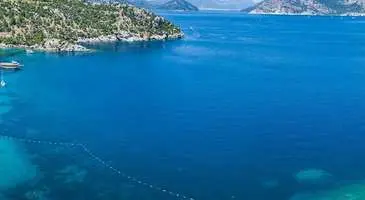 Turunç