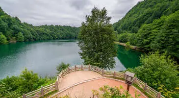 Karadeniz'de tatil denilince akla ilk gelen yerlerden olan Ordu antik dönemlerden itibaren önemini kaybetmeden günümüze kadar geliyor. Tarihî kayıtlarda Cotyora olarak geçen Ordu'da, yaz aylarında Karadeniz’in tertemiz sularının tadını çıkarabileceğin mavi bayraklı plajlarının yanı sıra kültür turları, yayla gezileri ve termal kaplıcalara düzenlenen sağlık turları ile de şehri keşfe çıkabilirsin.