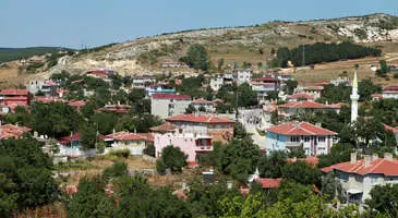 Vize