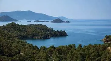 Yanıklar