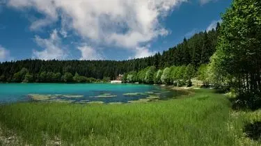 Artvin'de gezilecek yerler