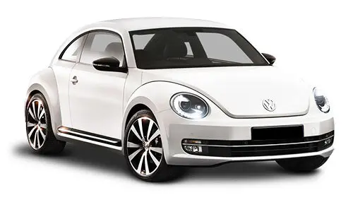 Beetle