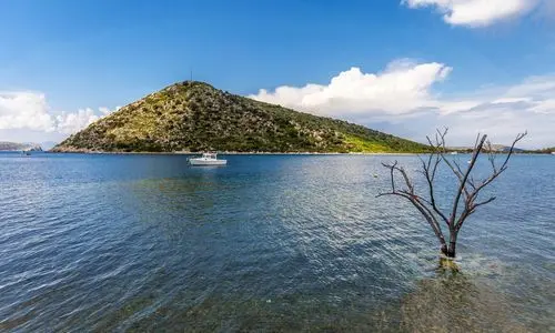 عرض جزيرة الأرنب