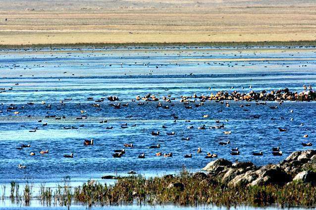 Kuyucuk Kuş Cenneti