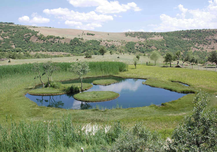 YÃ¼zen Ada