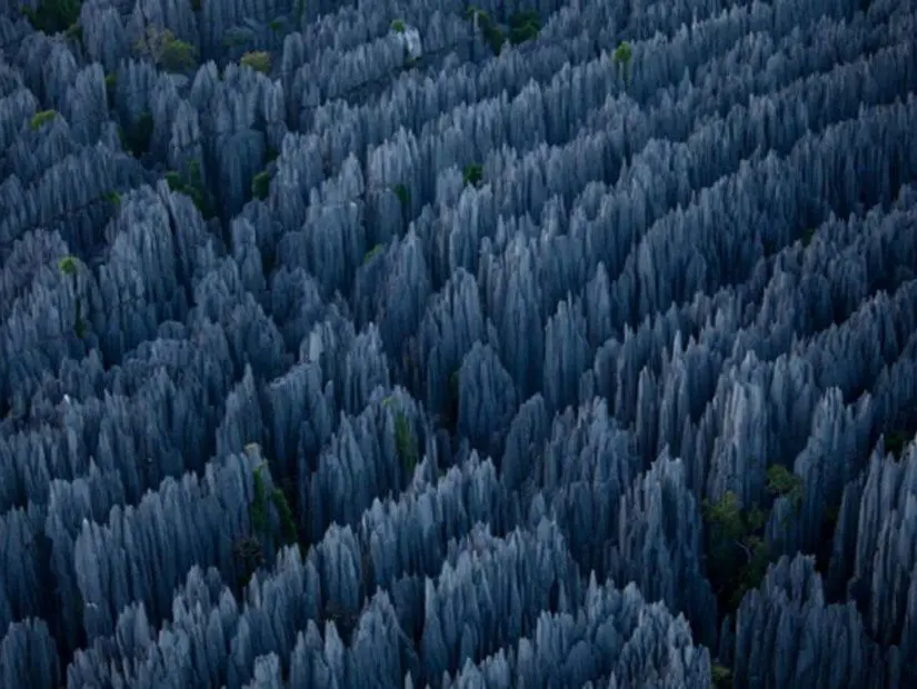 Taş Ağaç Ormanı, Yunnan, Çin