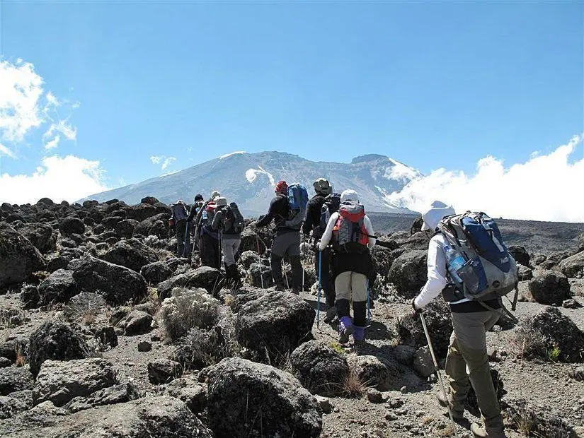 Kilimanjaro Dağı – Tanzanya