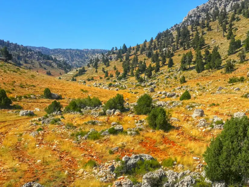 Akpınar Yaylası - Gülnar/Mersin görünümü