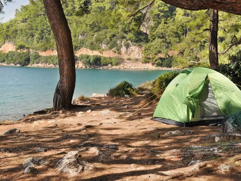 Akyaka Orman Kampı Çam ormanındaki kamp çadırı görünümü