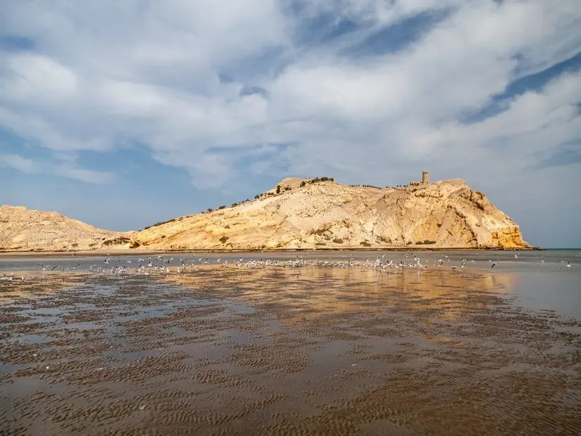 Al Sawadi Plajı görünümü