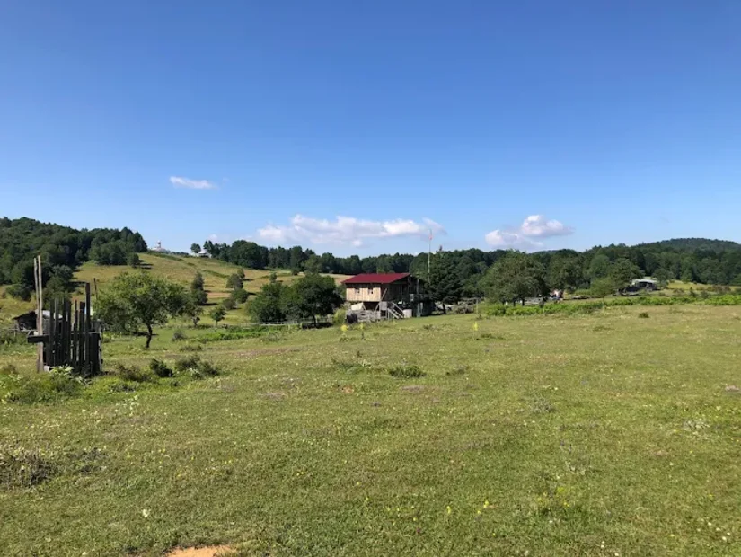 Alıç Yaylası - İznik/Bursa