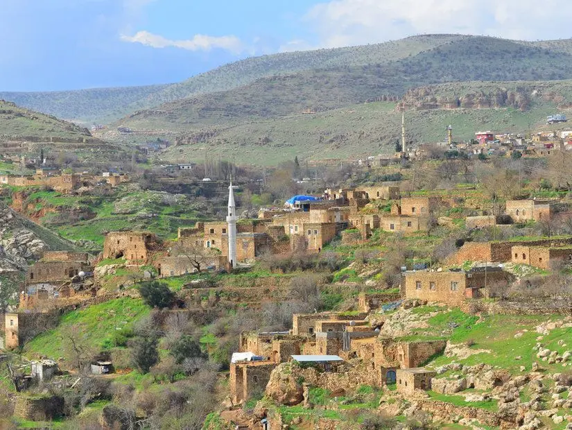 Alipaşa Köyü