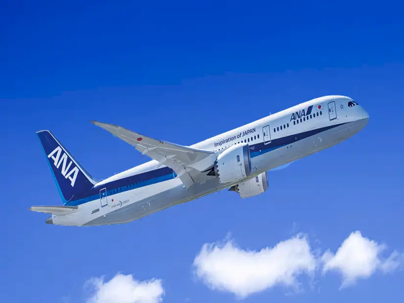 All Nippon Airways uçağı görünümü