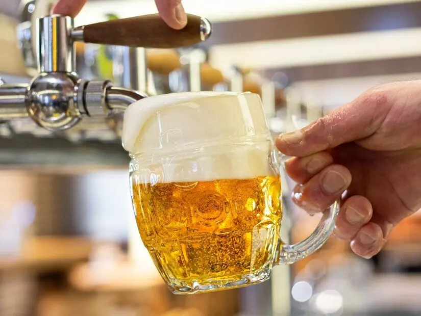 Alman Pilsner ve Lager örnek görseli