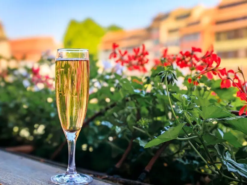 Alsas köpüklü şarabı (Crémant d'Alsace)