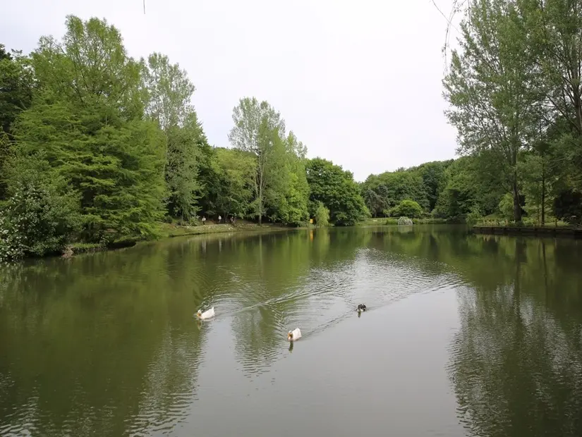 Atatürk Arboretumu gölet çevresinde yeşil doğanın görünümü