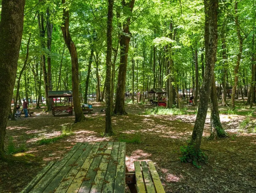 belgrad ormanı piknik
