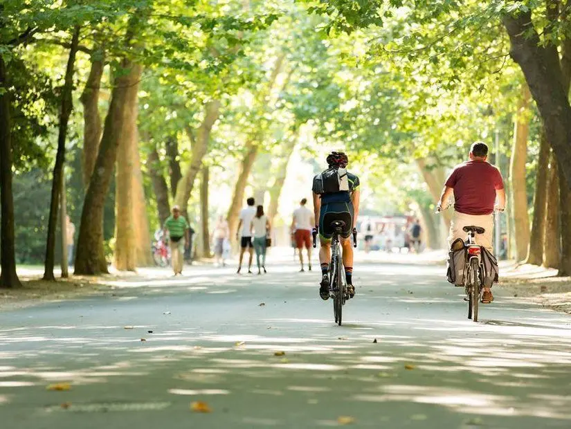 Bisiklet Amsterdam