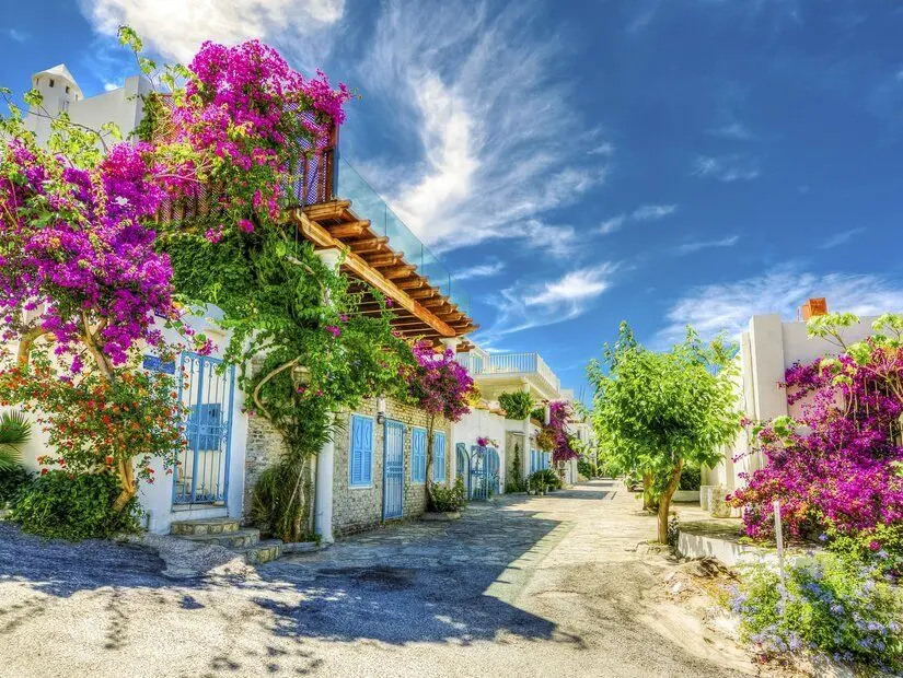 Türkiye'de Bodrum sokak manzarası
