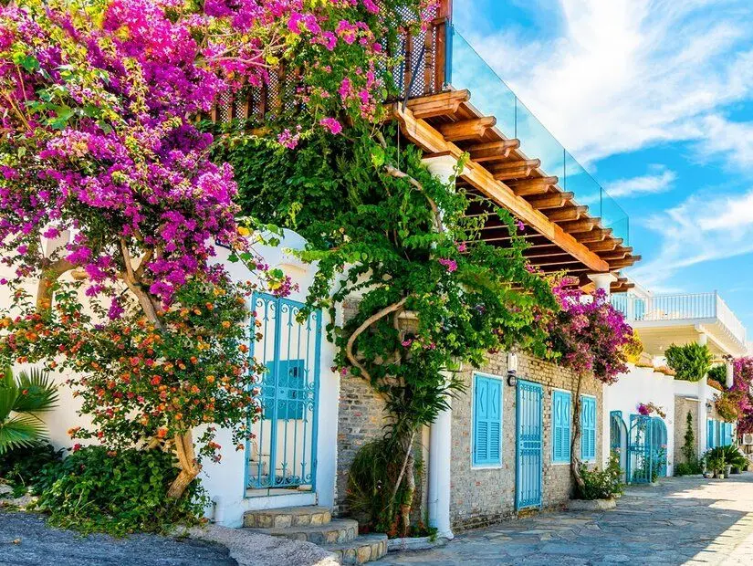 Türkiye'deki Bodrum sokak manzarası